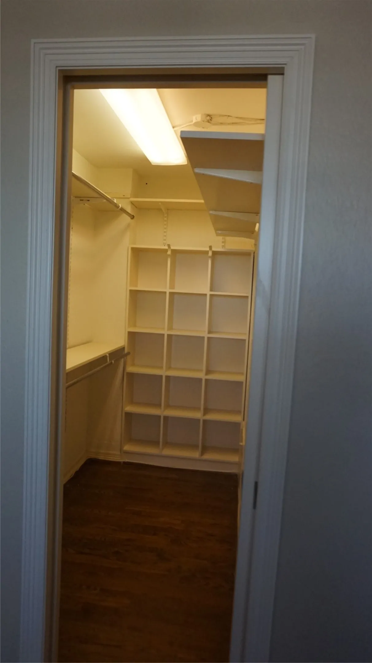 Built-in closet shelving, wood-finish flooring, and integrated overhead lighting