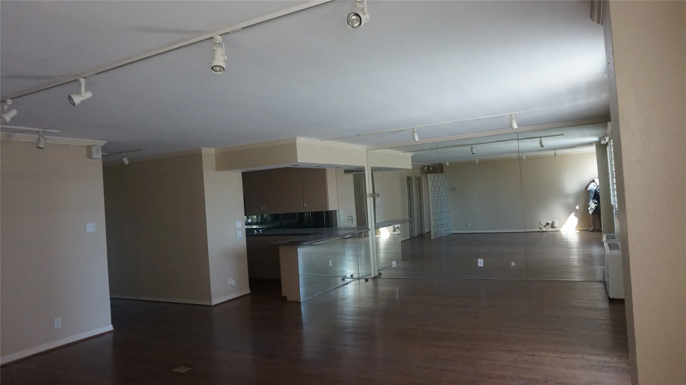 Open-concept living area with dark wood-finish flooring, track lighting, and a mirrored wall
