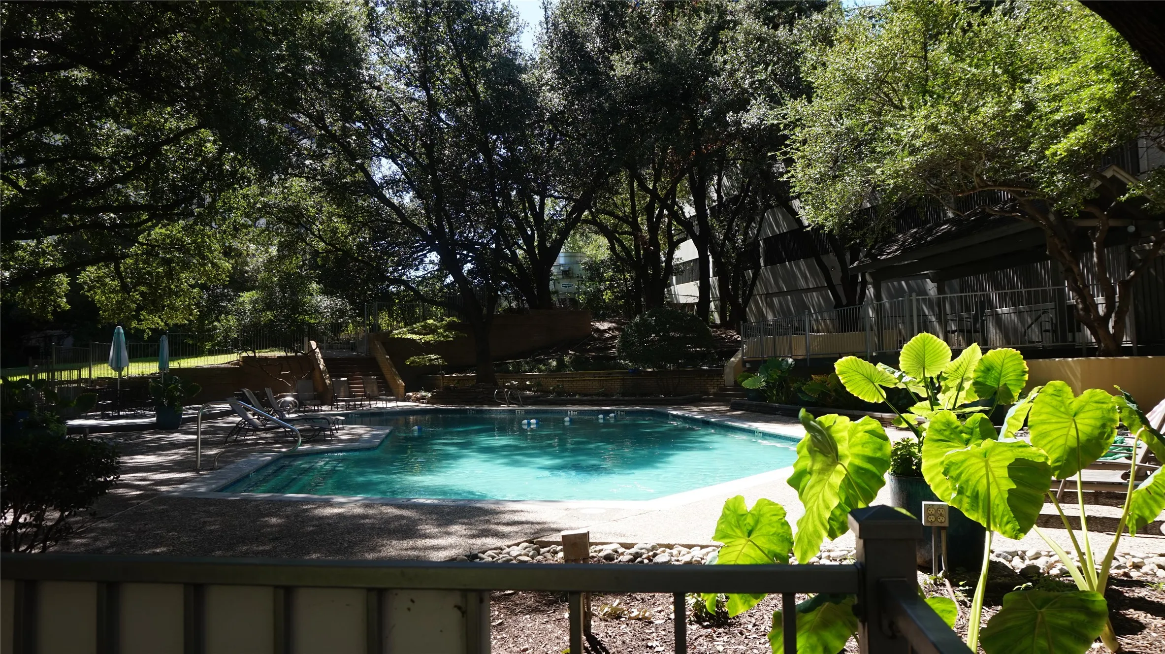 Swimming pool with a pebble aggregate deck, surrounded by mature trees and landscaping