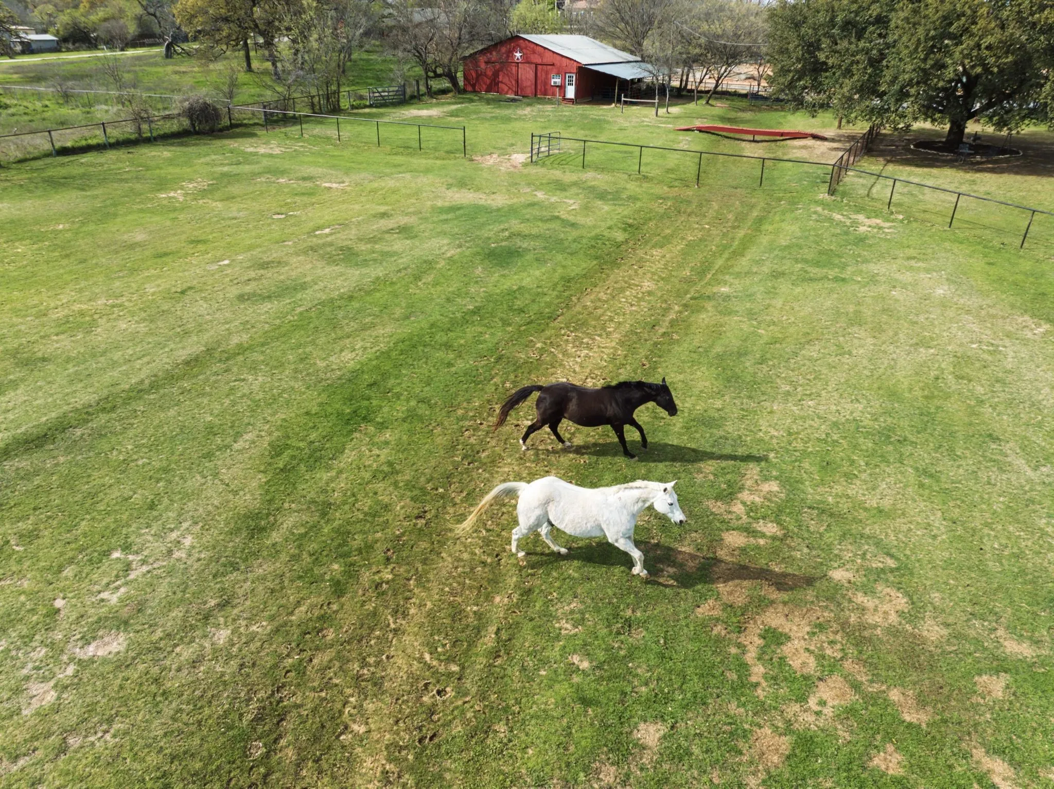 Expansive grassy property with a red barn structure, perimeter fencing, and mature trees