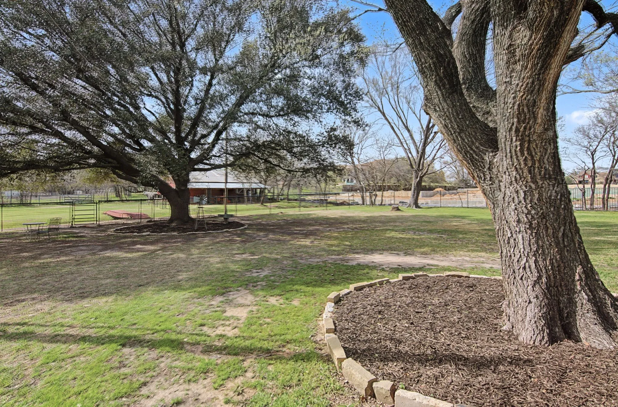Expansive lawn area featuring multiple mature trees, a defined tree ring with mulch, and a distant structure with a covered porch