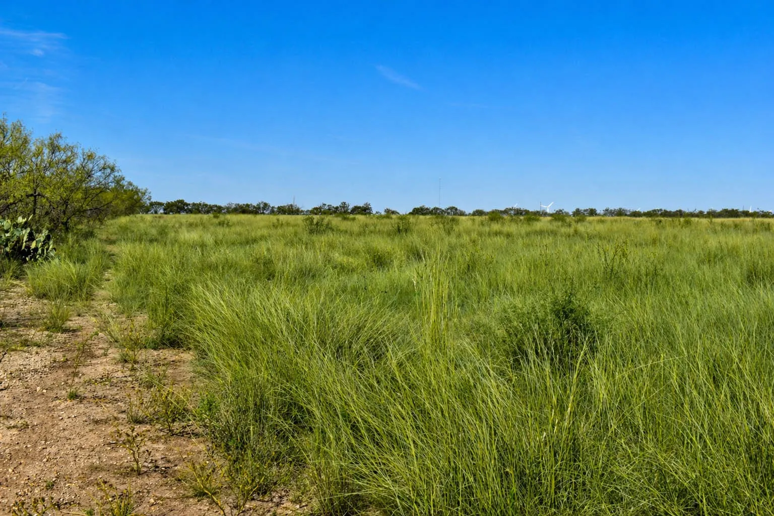 Ranch For Sale in Mc Culloch County , 40 A CR 144, Brady, Texas 76858, 0, 0, Garage spaces, 0 Sqft, built in 0, mls#21407290, Real Estate Agent in Brady, Homes For Sale in Mc Culloch county, Homes For Sale in Brady, Realtor in Brady Texas, Real Estate Brokerage Independent Realty Texas, Luminita Cordes Realtor