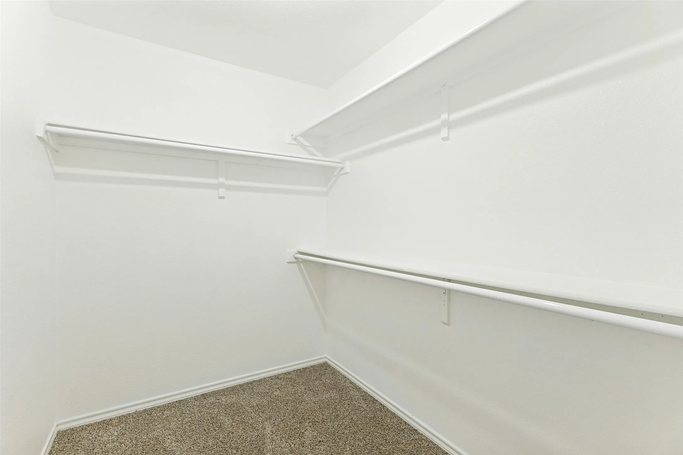 Built-in shelving and hanging rods, neutral wall color, and carpet flooring