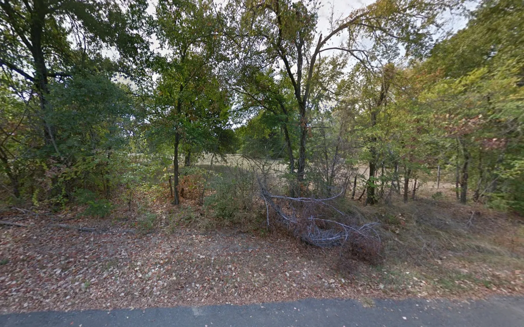 Improved Land For Sale in Henderson County , TBD Peaceful Woods Drive, Eustace, Texas 75124, 0, 0, Garage spaces, 0 Sqft, built in 0, mls#21407295, Real Estate Agent in Eustace, Homes For Sale in Henderson county, Homes For Sale in Eustace, Realtor in Eustace Texas, Real Estate Brokerage Independent Realty Texas, Luminita Cordes Realtor