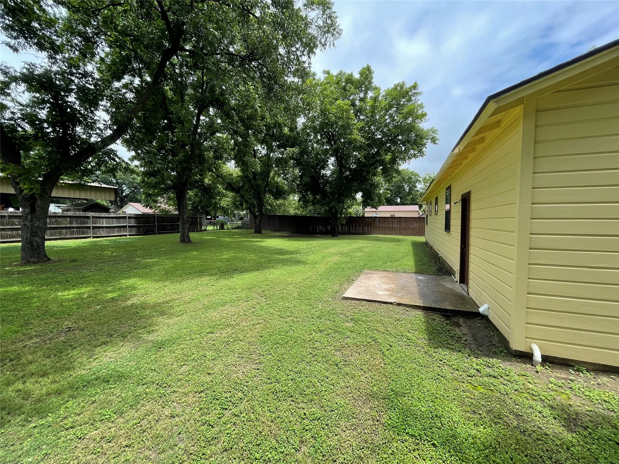 Back yard
