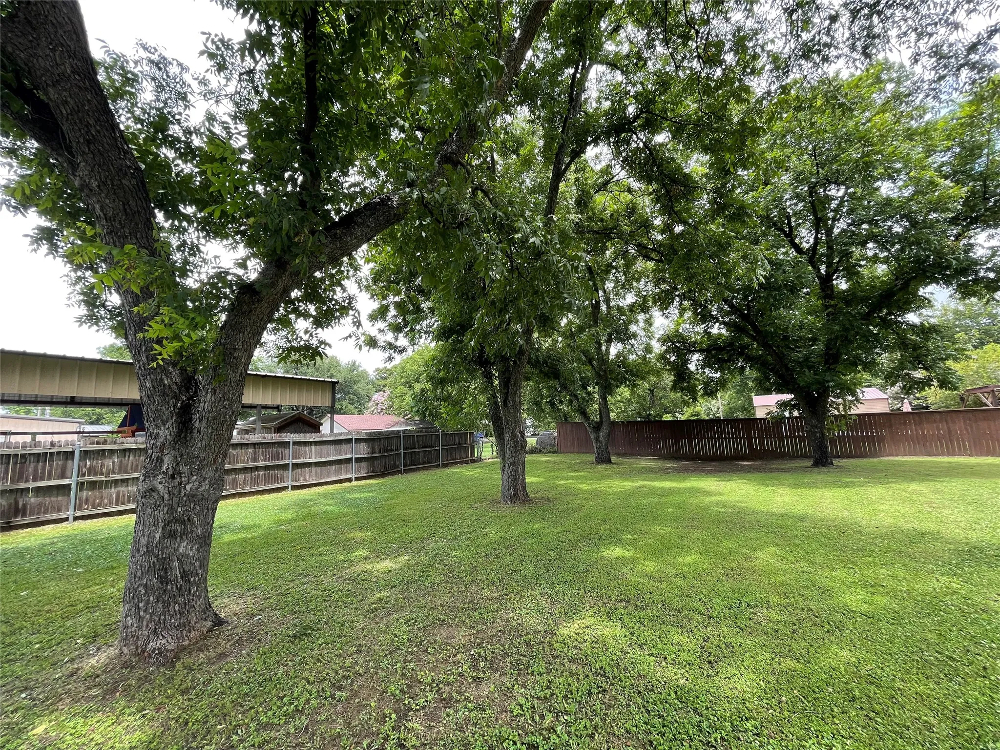 Fenced yard