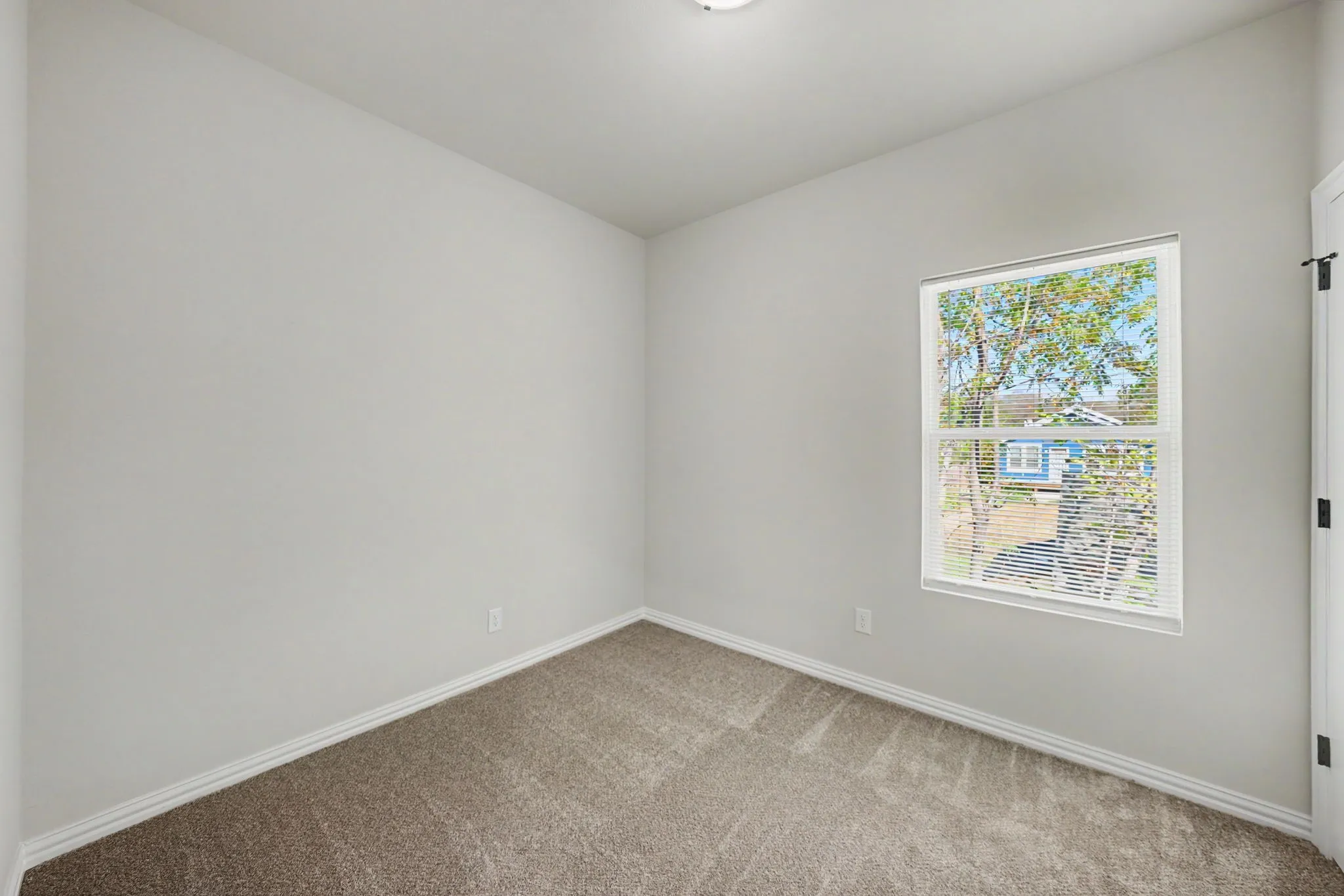 Neutral wall color, window with natural light, textured carpet, and white trim