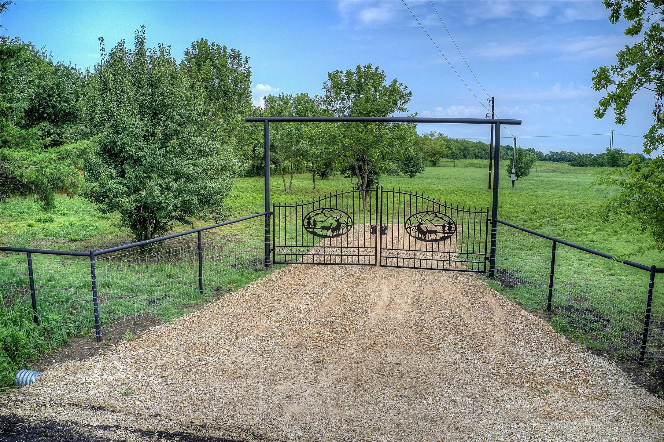View of gate