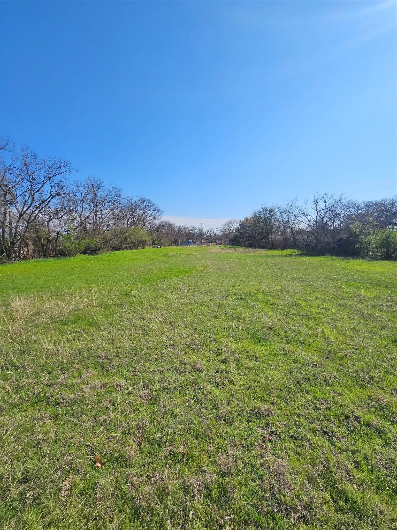 Unimproved Land For Sale in Tarrant County , 6017 Craig Street, Fort Worth, Texas 76112, 0, 0, Garage spaces, 0 Sqft, built in 0, mls#21407302, Real Estate Agent in Fort Worth, Homes For Sale in Tarrant county, Homes For Sale in Fort Worth, Realtor in Fort Worth Texas, Real Estate Brokerage Independent Realty Texas, Luminita Cordes Realtor