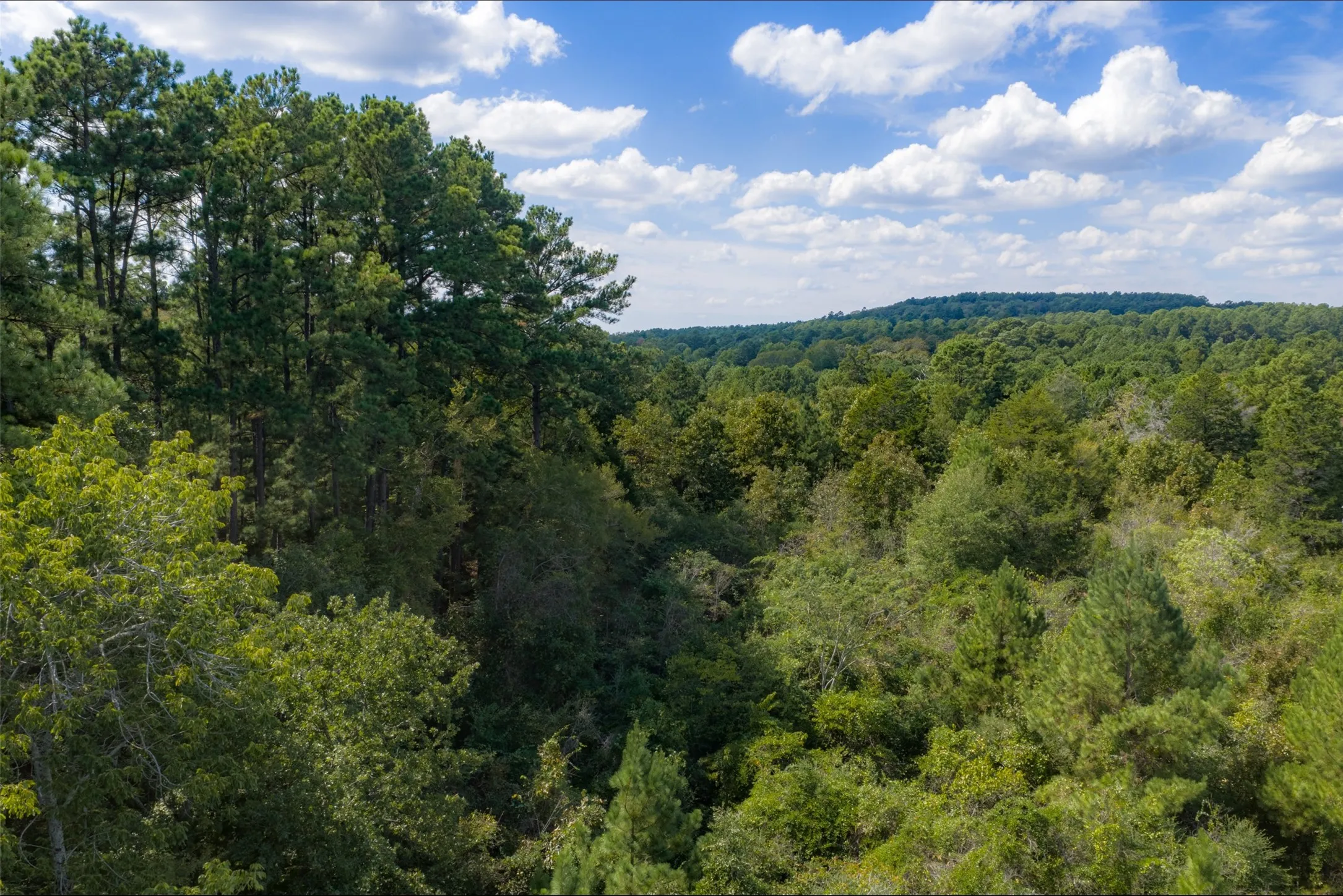 Farm For Sale in Anderson County , 20436 Fm 315, Palestine, Texas 75803, 3 Bedroom, 2 Bathroom, Garage spaces, 2,048 Sqft, built in 1999, mls#21407322, Real Estate Agent in Palestine, Homes For Sale in Anderson county, Homes For Sale in Palestine, Realtor in Palestine Texas, Real Estate Brokerage Independent Realty Texas, Luminita Cordes Realtor