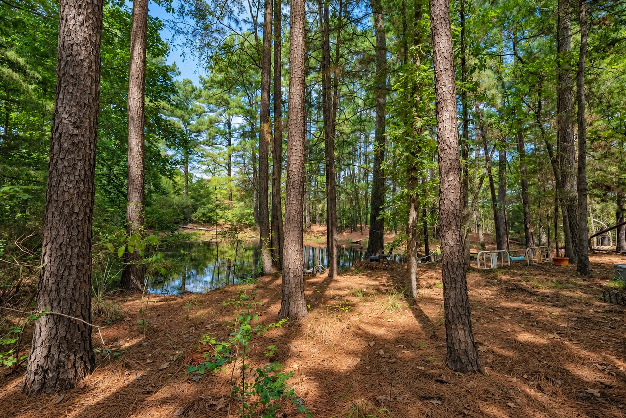 Farm For Sale in Anderson County , 20436 Fm 315, Palestine, Texas 75803, 3 Bedroom, 2 Bathroom, Garage spaces, 2,048 Sqft, built in 1999, mls#21407322, Real Estate Agent in Palestine, Homes For Sale in Anderson county, Homes For Sale in Palestine, Realtor in Palestine Texas, Real Estate Brokerage Independent Realty Texas, Luminita Cordes Realtor