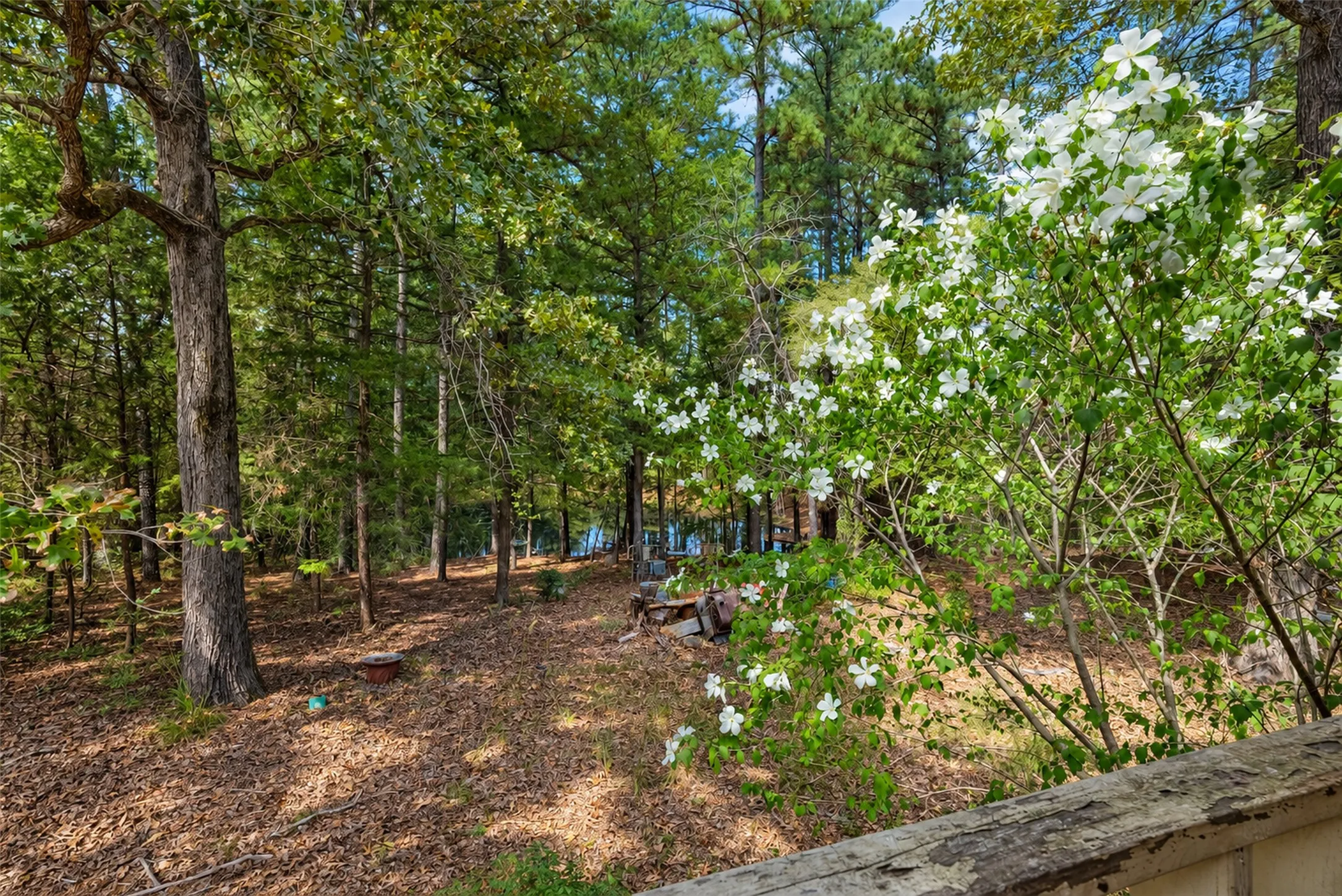 Farm For Sale in Anderson County , 20436 Fm 315, Palestine, Texas 75803, 3 Bedroom, 2 Bathroom, Garage spaces, 2,048 Sqft, built in 1999, mls#21407322, Real Estate Agent in Palestine, Homes For Sale in Anderson county, Homes For Sale in Palestine, Realtor in Palestine Texas, Real Estate Brokerage Independent Realty Texas, Luminita Cordes Realtor