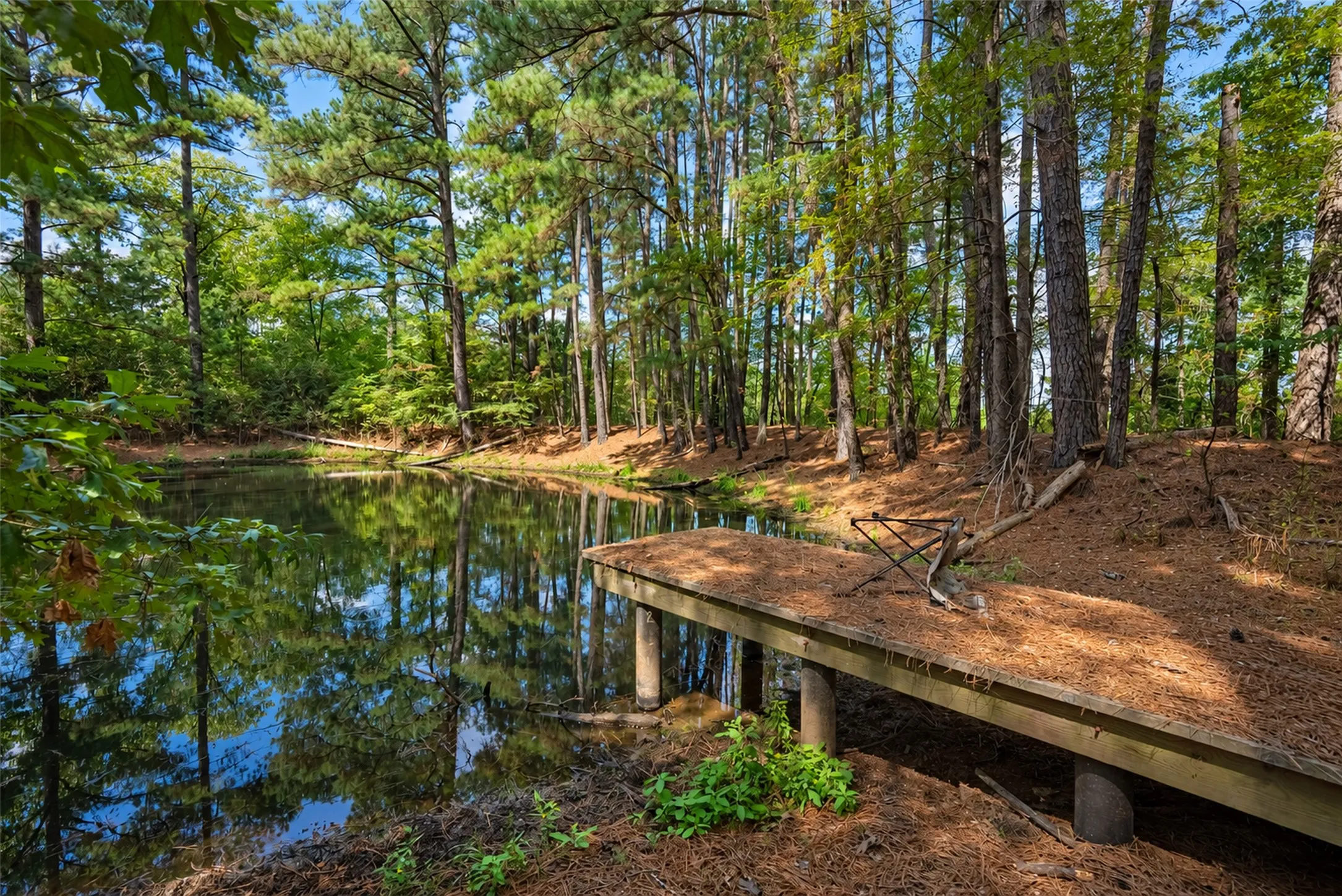 Farm For Sale in Anderson County , 20436 Fm 315, Palestine, Texas 75803, 3 Bedroom, 2 Bathroom, Garage spaces, 2,048 Sqft, built in 1999, mls#21407322, Real Estate Agent in Palestine, Homes For Sale in Anderson county, Homes For Sale in Palestine, Realtor in Palestine Texas, Real Estate Brokerage Independent Realty Texas, Luminita Cordes Realtor