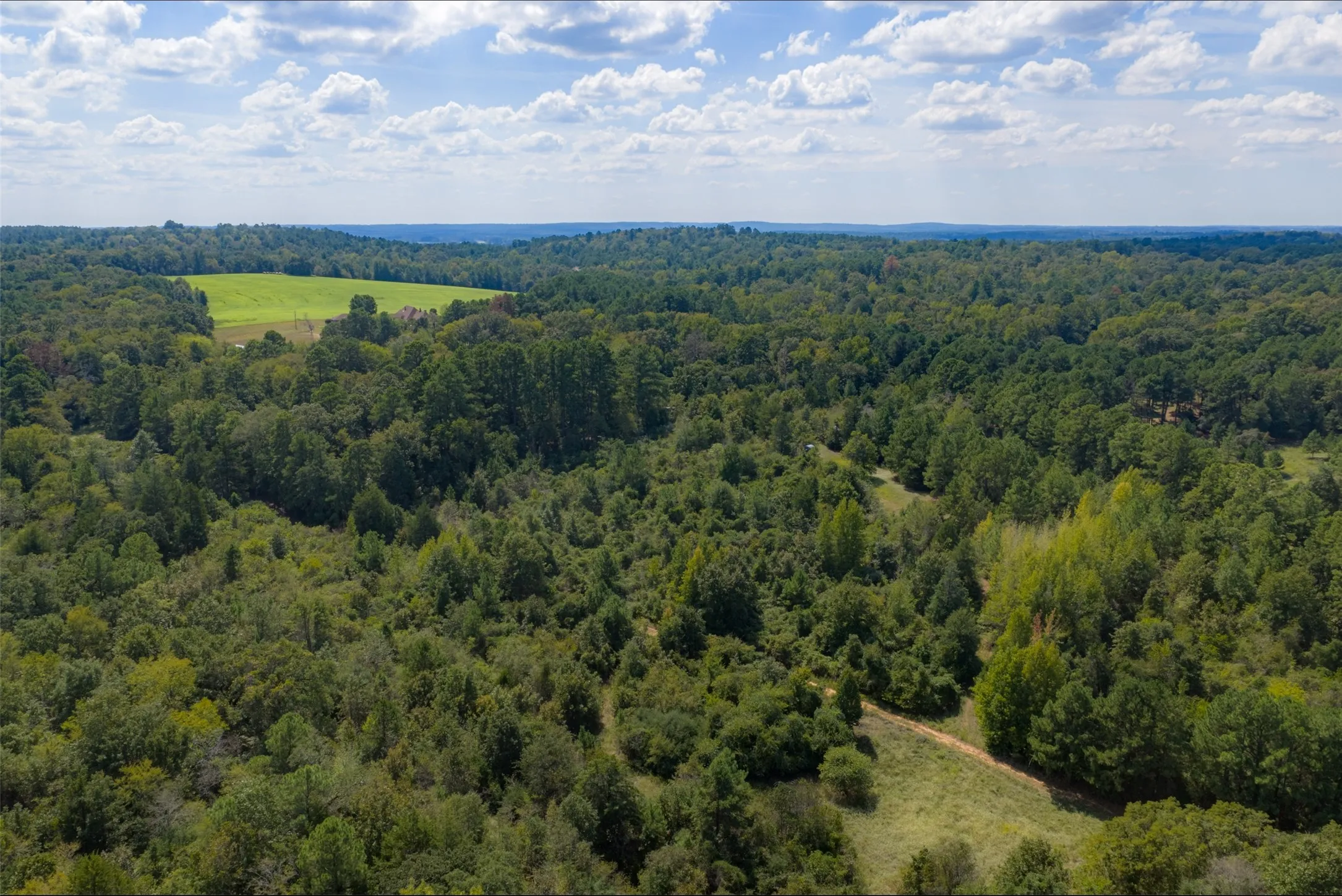 Farm For Sale in Anderson County , 20436 Fm 315, Palestine, Texas 75803, 3 Bedroom, 2 Bathroom, Garage spaces, 2,048 Sqft, built in 1999, mls#21407322, Real Estate Agent in Palestine, Homes For Sale in Anderson county, Homes For Sale in Palestine, Realtor in Palestine Texas, Real Estate Brokerage Independent Realty Texas, Luminita Cordes Realtor