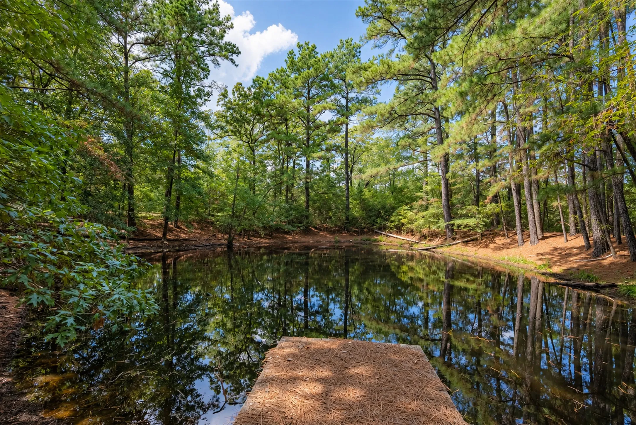 Farm For Sale in Anderson County , 20436 Fm 315, Palestine, Texas 75803, 3 Bedroom, 2 Bathroom, Garage spaces, 2,048 Sqft, built in 1999, mls#21407322, Real Estate Agent in Palestine, Homes For Sale in Anderson county, Homes For Sale in Palestine, Realtor in Palestine Texas, Real Estate Brokerage Independent Realty Texas, Luminita Cordes Realtor