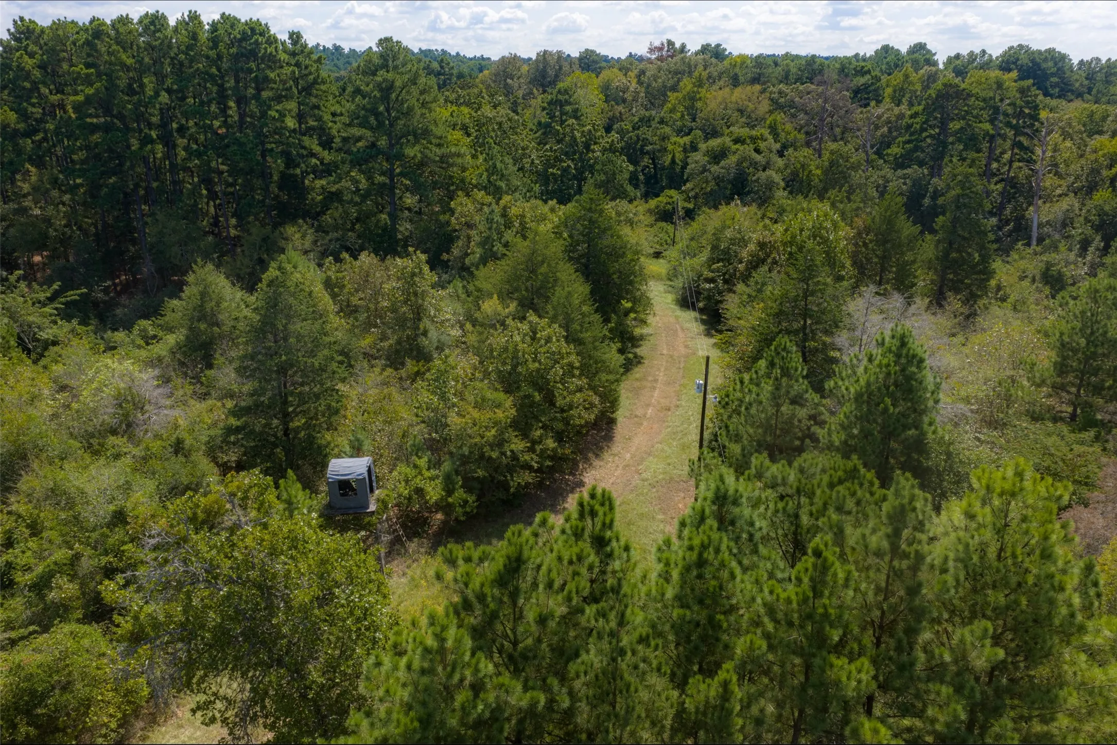Farm For Sale in Anderson County , 20436 Fm 315, Palestine, Texas 75803, 3 Bedroom, 2 Bathroom, Garage spaces, 2,048 Sqft, built in 1999, mls#21407322, Real Estate Agent in Palestine, Homes For Sale in Anderson county, Homes For Sale in Palestine, Realtor in Palestine Texas, Real Estate Brokerage Independent Realty Texas, Luminita Cordes Realtor