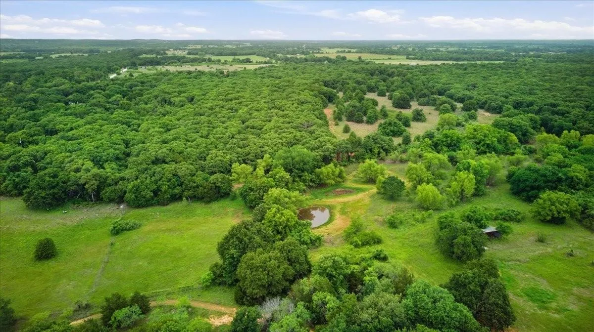 Unimproved Land For Sale in Hill County , TBD Hcr-1212, Whitney, Texas 76692, 0, 0, Garage spaces, 0 Sqft, built in 0, mls#21403631, Real Estate Agent in Whitney, Homes For Sale in Hill county, Homes For Sale in Whitney, Realtor in Whitney Texas, Real Estate Brokerage Independent Realty Texas, Luminita Cordes Realtor