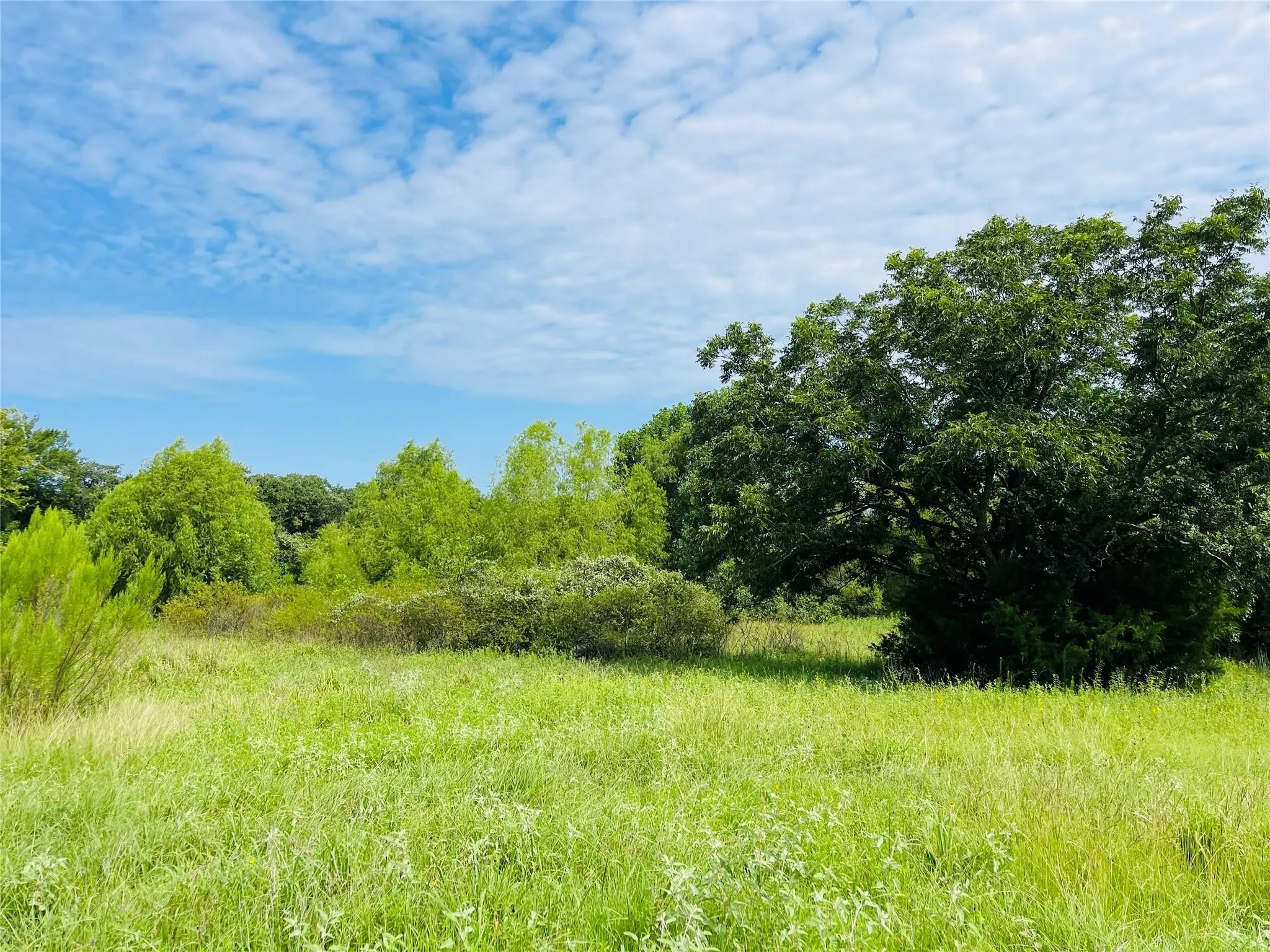 Unimproved Land For Sale in Hill County , TBD Hcr-1212, Whitney, Texas 76692, 0, 0, Garage spaces, 0 Sqft, built in 0, mls#21403631, Real Estate Agent in Whitney, Homes For Sale in Hill county, Homes For Sale in Whitney, Realtor in Whitney Texas, Real Estate Brokerage Independent Realty Texas, Luminita Cordes Realtor
