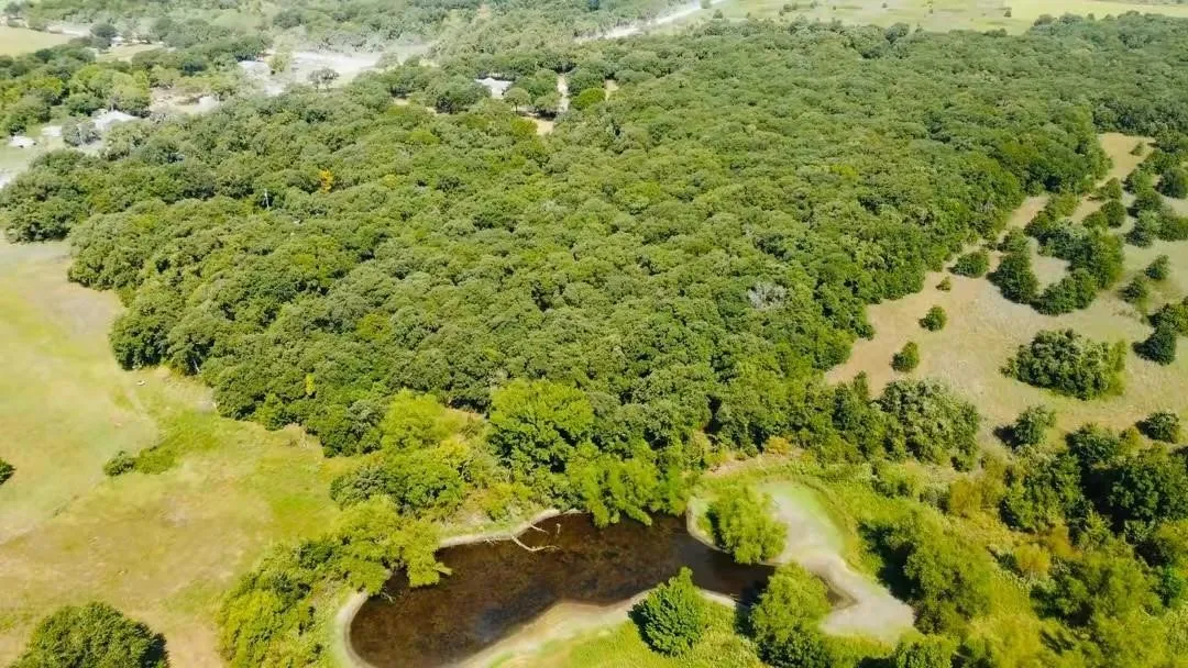 Unimproved Land For Sale in Hill County , TBD Hcr-1212, Whitney, Texas 76692, 0, 0, Garage spaces, 0 Sqft, built in 0, mls#21403631, Real Estate Agent in Whitney, Homes For Sale in Hill county, Homes For Sale in Whitney, Realtor in Whitney Texas, Real Estate Brokerage Independent Realty Texas, Luminita Cordes Realtor