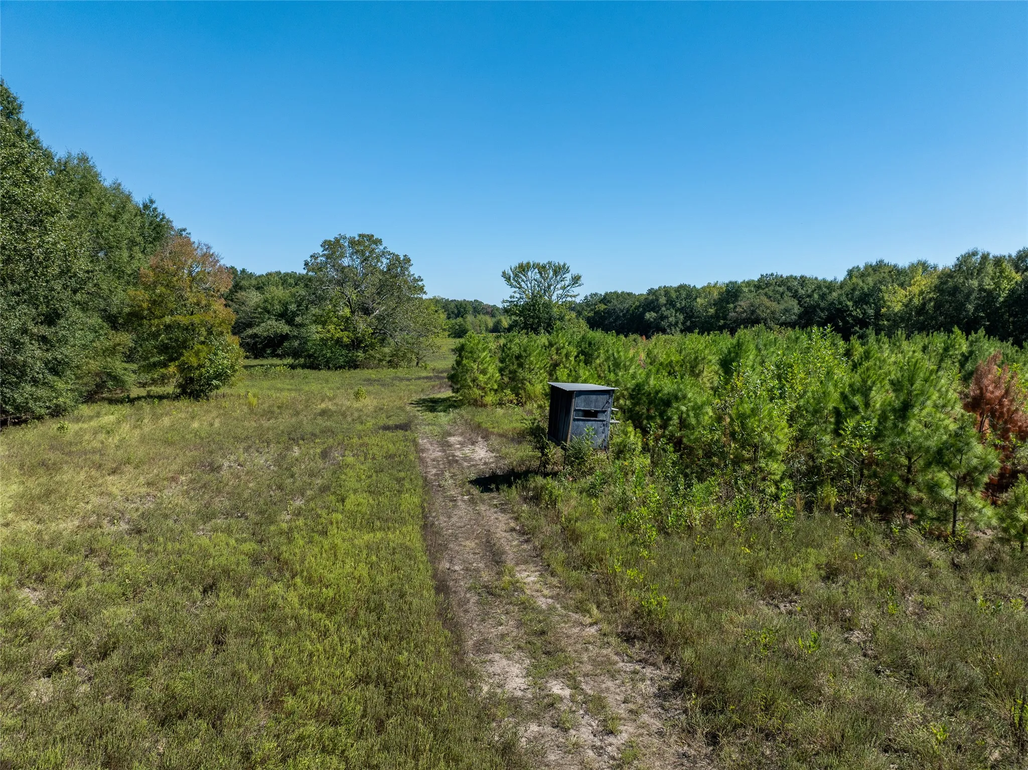 Ranch For Sale in Red River (TX) County , 2937 County Road 2356, Detroit, Texas 75436, 0, 0, Garage spaces, 0 Sqft, built in 0, mls#21407244, Real Estate Agent in Detroit, Homes For Sale in Red River (TX) county, Homes For Sale in Detroit, Realtor in Detroit Texas, Real Estate Brokerage Independent Realty Texas, Luminita Cordes Realtor