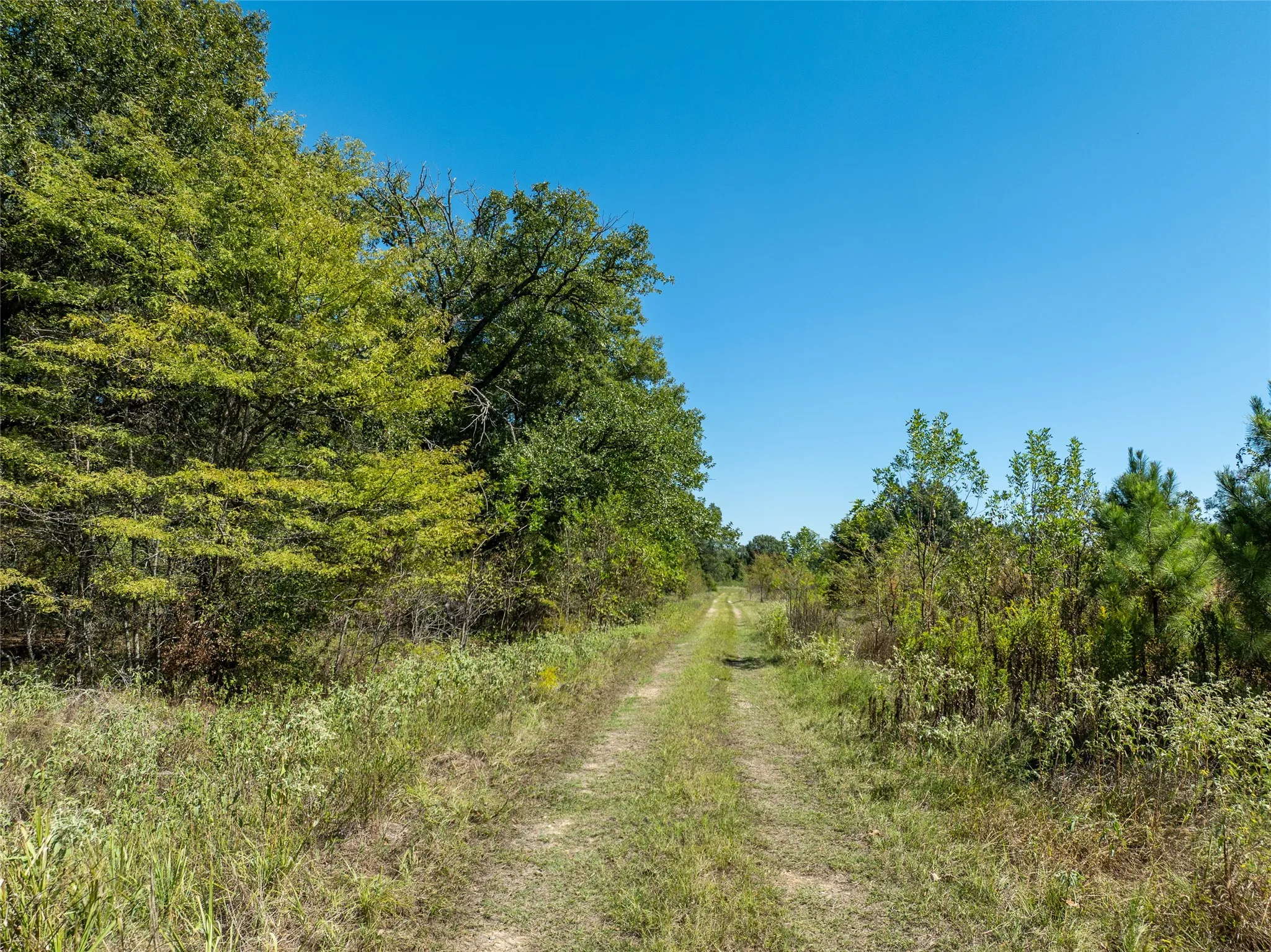 Ranch For Sale in Red River (TX) County , 2937 County Road 2356, Detroit, Texas 75436, 0, 0, Garage spaces, 0 Sqft, built in 0, mls#21407244, Real Estate Agent in Detroit, Homes For Sale in Red River (TX) county, Homes For Sale in Detroit, Realtor in Detroit Texas, Real Estate Brokerage Independent Realty Texas, Luminita Cordes Realtor