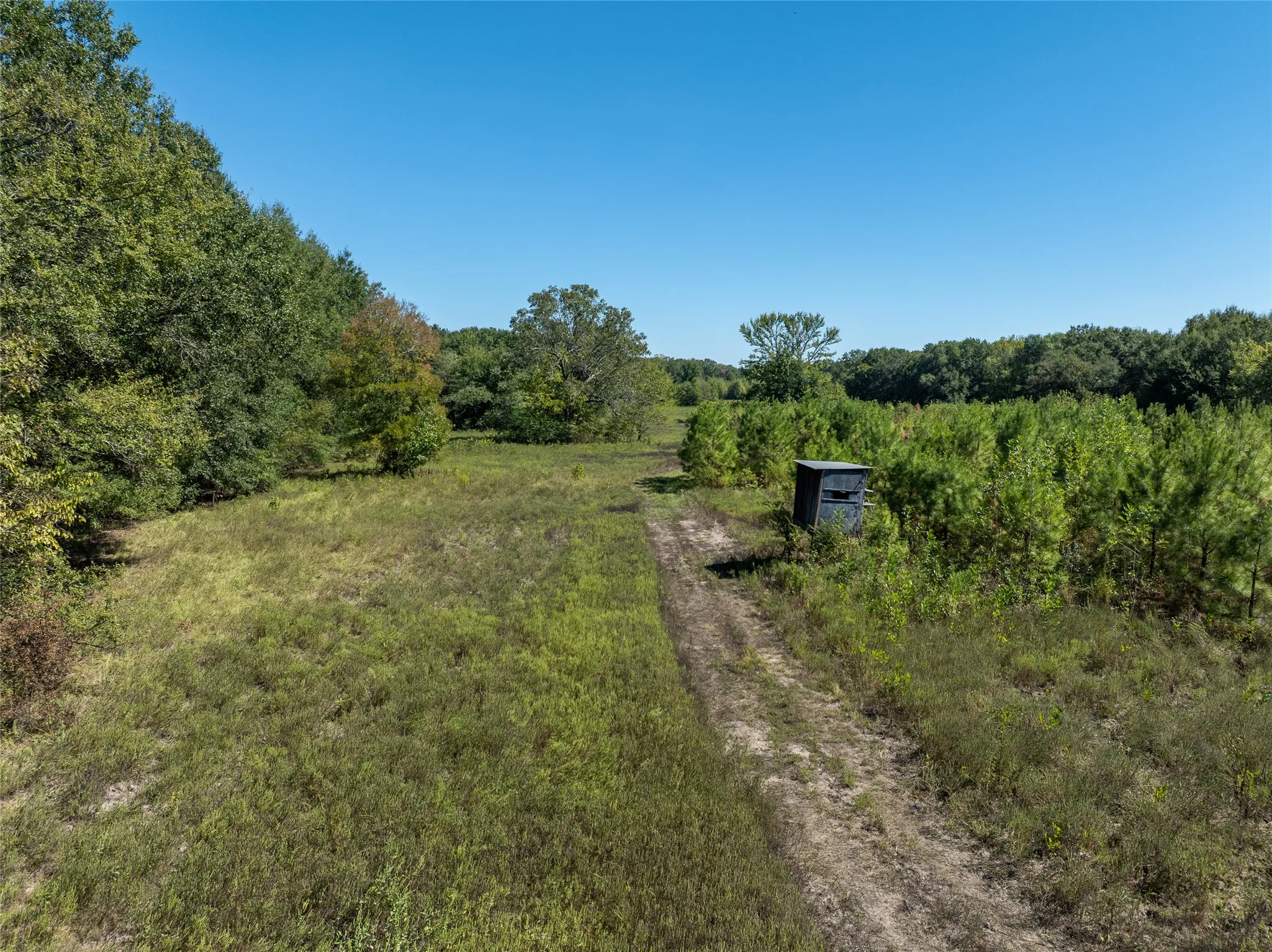 Ranch For Sale in Red River (TX) County , 2937 County Road 2356, Detroit, Texas 75436, 0, 0, Garage spaces, 0 Sqft, built in 0, mls#21407244, Real Estate Agent in Detroit, Homes For Sale in Red River (TX) county, Homes For Sale in Detroit, Realtor in Detroit Texas, Real Estate Brokerage Independent Realty Texas, Luminita Cordes Realtor