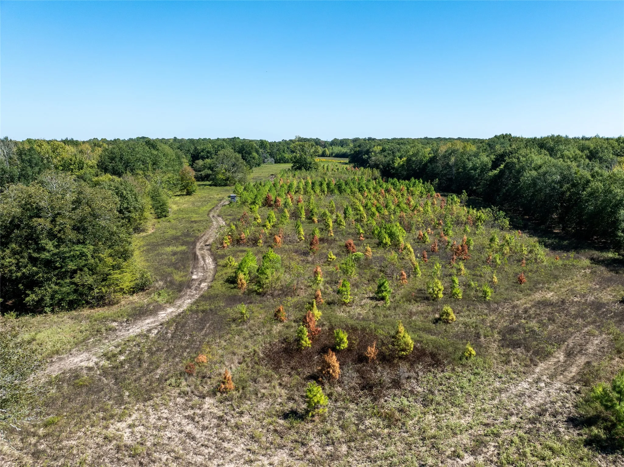 Ranch For Sale in Red River (TX) County , 2937 County Road 2356, Detroit, Texas 75436, 0, 0, Garage spaces, 0 Sqft, built in 0, mls#21407244, Real Estate Agent in Detroit, Homes For Sale in Red River (TX) county, Homes For Sale in Detroit, Realtor in Detroit Texas, Real Estate Brokerage Independent Realty Texas, Luminita Cordes Realtor