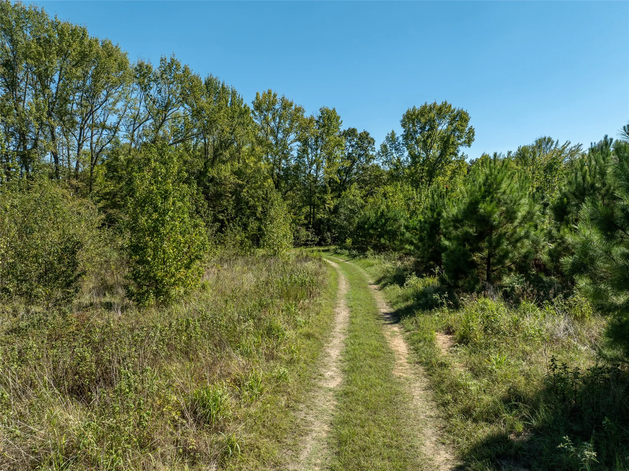 Ranch For Sale in Red River (TX) County , 2937 County Road 2356, Detroit, Texas 75436, 0, 0, Garage spaces, 0 Sqft, built in 0, mls#21407244, Real Estate Agent in Detroit, Homes For Sale in Red River (TX) county, Homes For Sale in Detroit, Realtor in Detroit Texas, Real Estate Brokerage Independent Realty Texas, Luminita Cordes Realtor