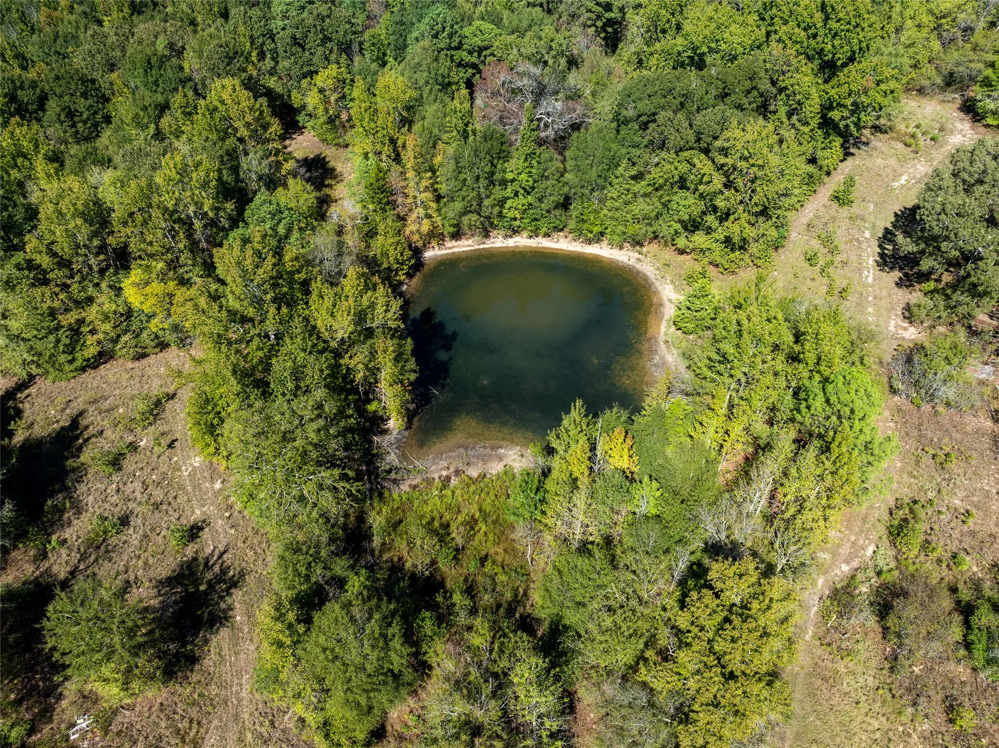 Ranch For Sale in Red River (TX) County , 2937 County Road 2356, Detroit, Texas 75436, 0, 0, Garage spaces, 0 Sqft, built in 0, mls#21407244, Real Estate Agent in Detroit, Homes For Sale in Red River (TX) county, Homes For Sale in Detroit, Realtor in Detroit Texas, Real Estate Brokerage Independent Realty Texas, Luminita Cordes Realtor