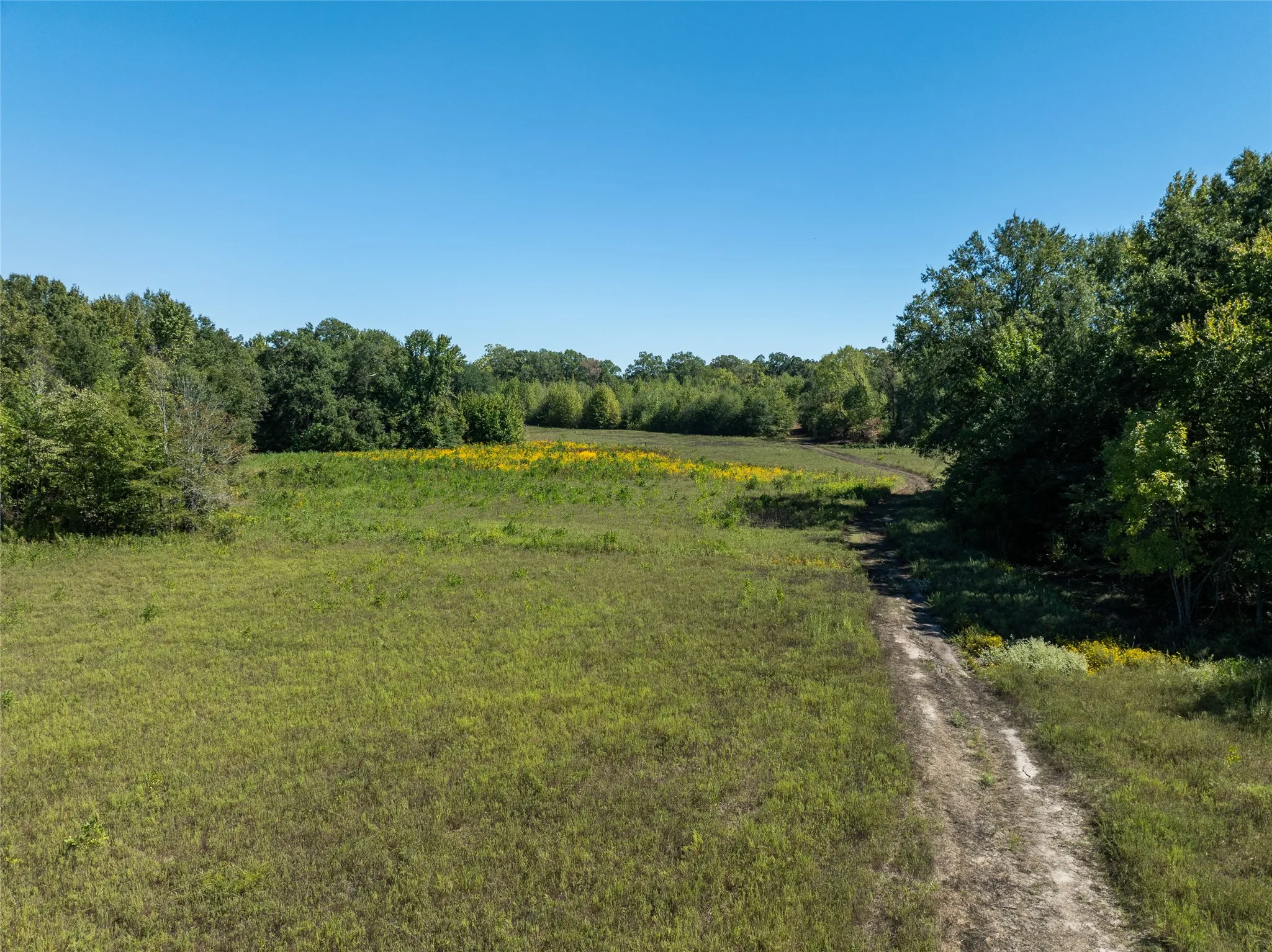 Ranch For Sale in Red River (TX) County , 2937 County Road 2356, Detroit, Texas 75436, 0, 0, Garage spaces, 0 Sqft, built in 0, mls#21407244, Real Estate Agent in Detroit, Homes For Sale in Red River (TX) county, Homes For Sale in Detroit, Realtor in Detroit Texas, Real Estate Brokerage Independent Realty Texas, Luminita Cordes Realtor
