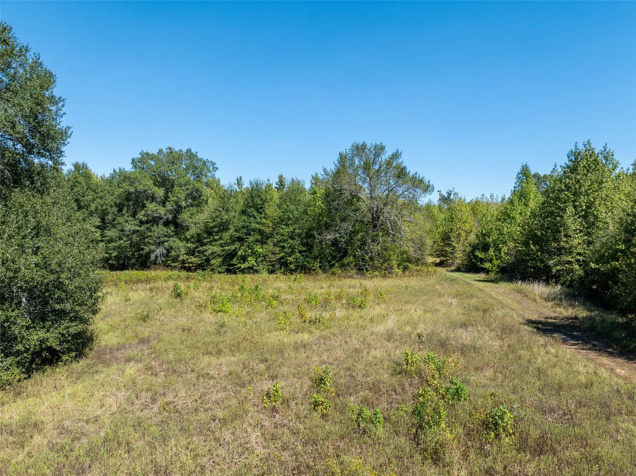 Ranch For Sale in Red River (TX) County , 2937 County Road 2356, Detroit, Texas 75436, 0, 0, Garage spaces, 0 Sqft, built in 0, mls#21407244, Real Estate Agent in Detroit, Homes For Sale in Red River (TX) county, Homes For Sale in Detroit, Realtor in Detroit Texas, Real Estate Brokerage Independent Realty Texas, Luminita Cordes Realtor