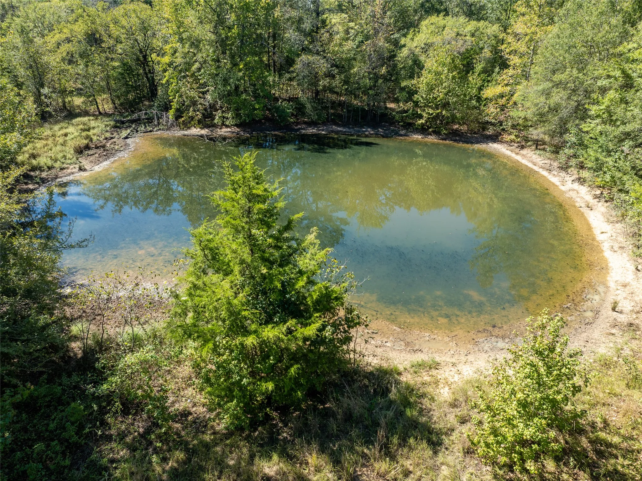 Ranch For Sale in Red River (TX) County , 2937 County Road 2356, Detroit, Texas 75436, 0, 0, Garage spaces, 0 Sqft, built in 0, mls#21407244, Real Estate Agent in Detroit, Homes For Sale in Red River (TX) county, Homes For Sale in Detroit, Realtor in Detroit Texas, Real Estate Brokerage Independent Realty Texas, Luminita Cordes Realtor