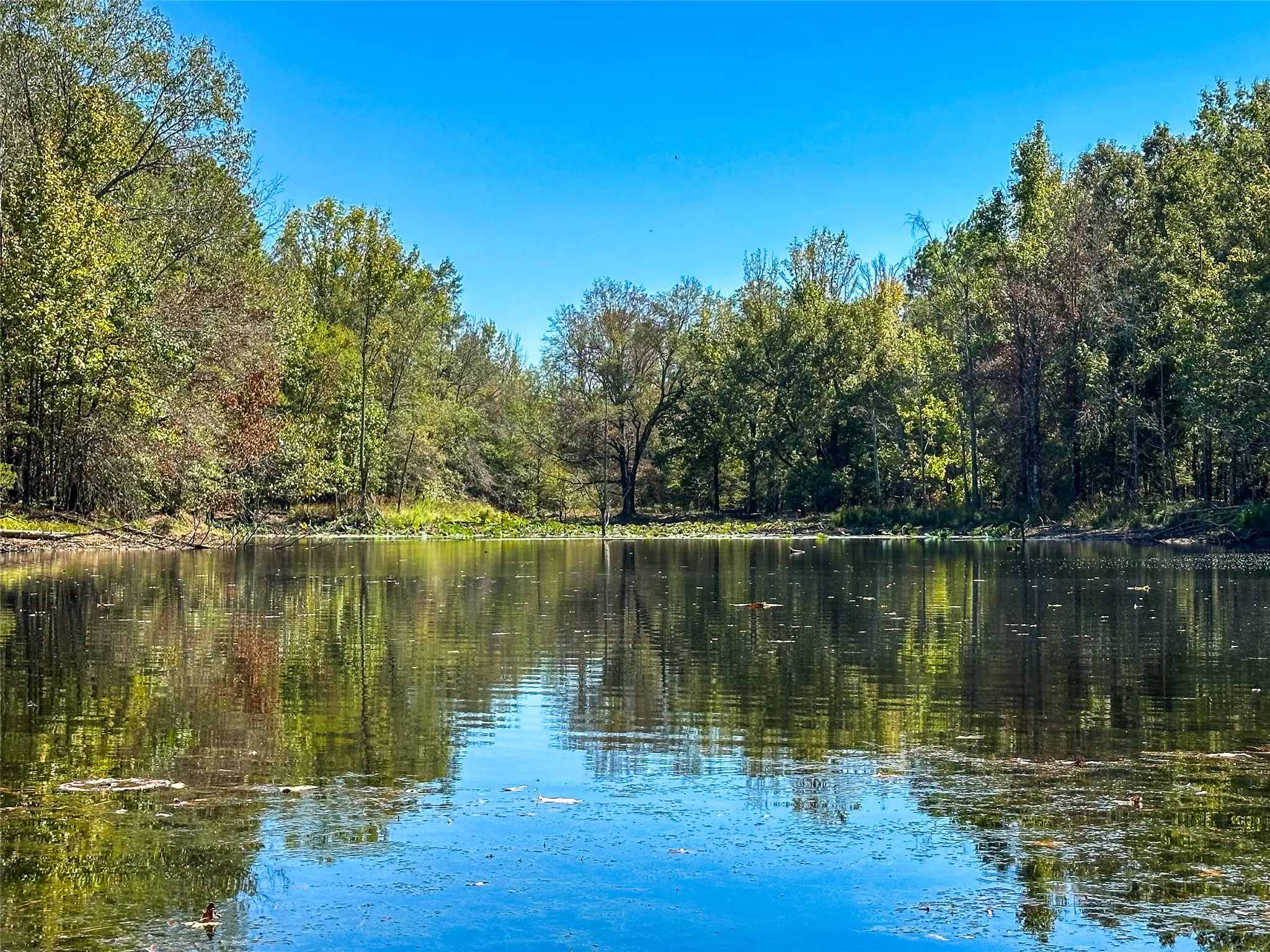 Ranch For Sale in Red River (TX) County , 2937 County Road 2356, Detroit, Texas 75436, 0, 0, Garage spaces, 0 Sqft, built in 0, mls#21407244, Real Estate Agent in Detroit, Homes For Sale in Red River (TX) county, Homes For Sale in Detroit, Realtor in Detroit Texas, Real Estate Brokerage Independent Realty Texas, Luminita Cordes Realtor