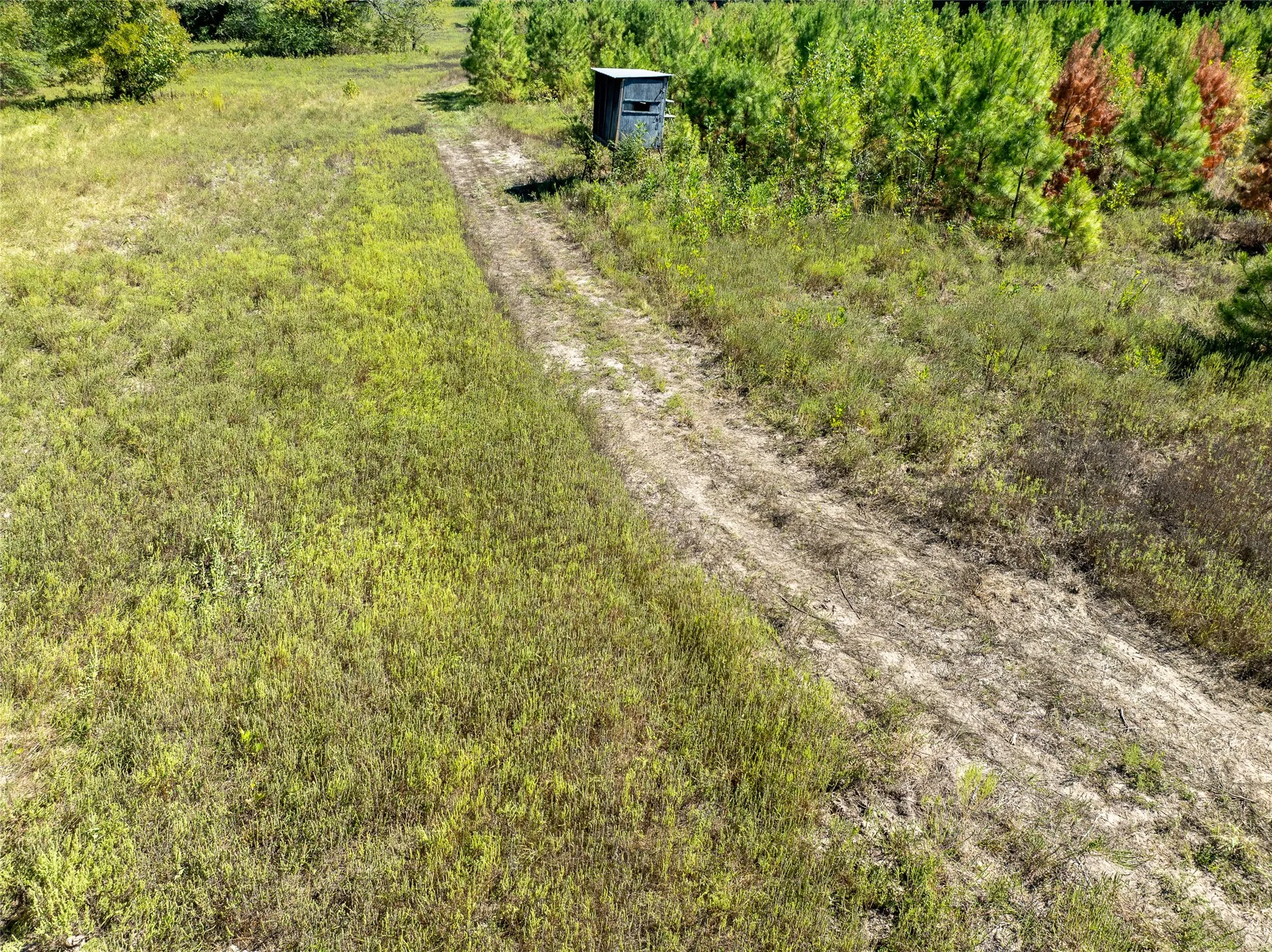 Ranch For Sale in Red River (TX) County , 2937 County Road 2356, Detroit, Texas 75436, 0, 0, Garage spaces, 0 Sqft, built in 0, mls#21407244, Real Estate Agent in Detroit, Homes For Sale in Red River (TX) county, Homes For Sale in Detroit, Realtor in Detroit Texas, Real Estate Brokerage Independent Realty Texas, Luminita Cordes Realtor