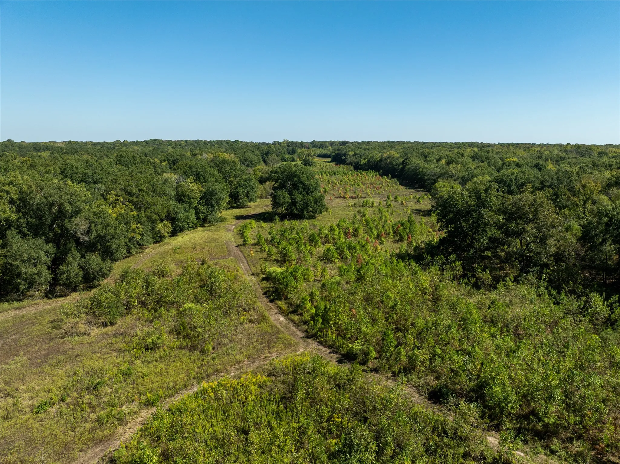 Ranch For Sale in Red River (TX) County , 2937 County Road 2356, Detroit, Texas 75436, 0, 0, Garage spaces, 0 Sqft, built in 0, mls#21407244, Real Estate Agent in Detroit, Homes For Sale in Red River (TX) county, Homes For Sale in Detroit, Realtor in Detroit Texas, Real Estate Brokerage Independent Realty Texas, Luminita Cordes Realtor