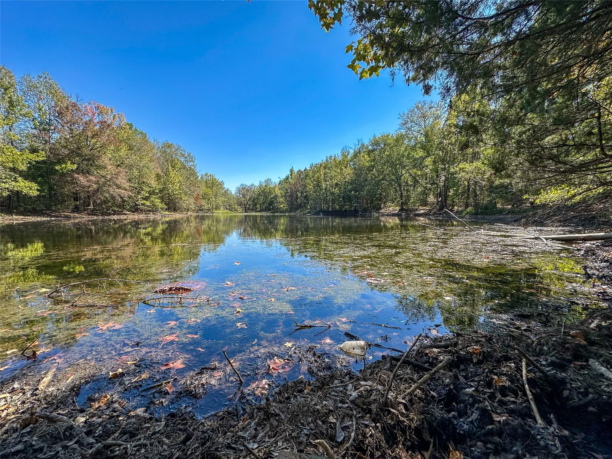 Ranch For Sale in Red River (TX) County , 2937 County Road 2356, Detroit, Texas 75436, 0, 0, Garage spaces, 0 Sqft, built in 0, mls#21407244, Real Estate Agent in Detroit, Homes For Sale in Red River (TX) county, Homes For Sale in Detroit, Realtor in Detroit Texas, Real Estate Brokerage Independent Realty Texas, Luminita Cordes Realtor