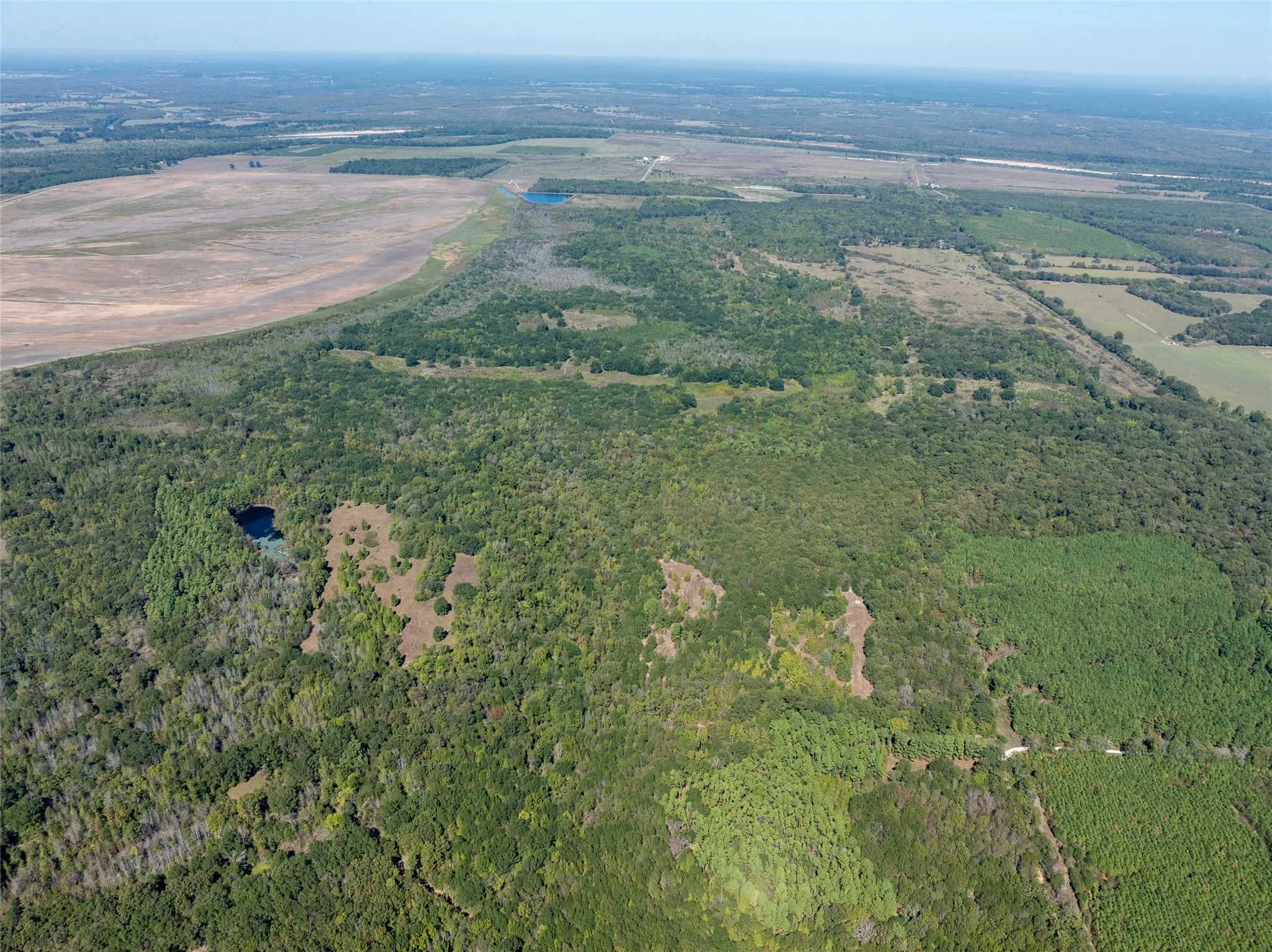 Ranch For Sale in Red River (TX) County , 2937 County Road 2356, Detroit, Texas 75436, 0, 0, Garage spaces, 0 Sqft, built in 0, mls#21407244, Real Estate Agent in Detroit, Homes For Sale in Red River (TX) county, Homes For Sale in Detroit, Realtor in Detroit Texas, Real Estate Brokerage Independent Realty Texas, Luminita Cordes Realtor
