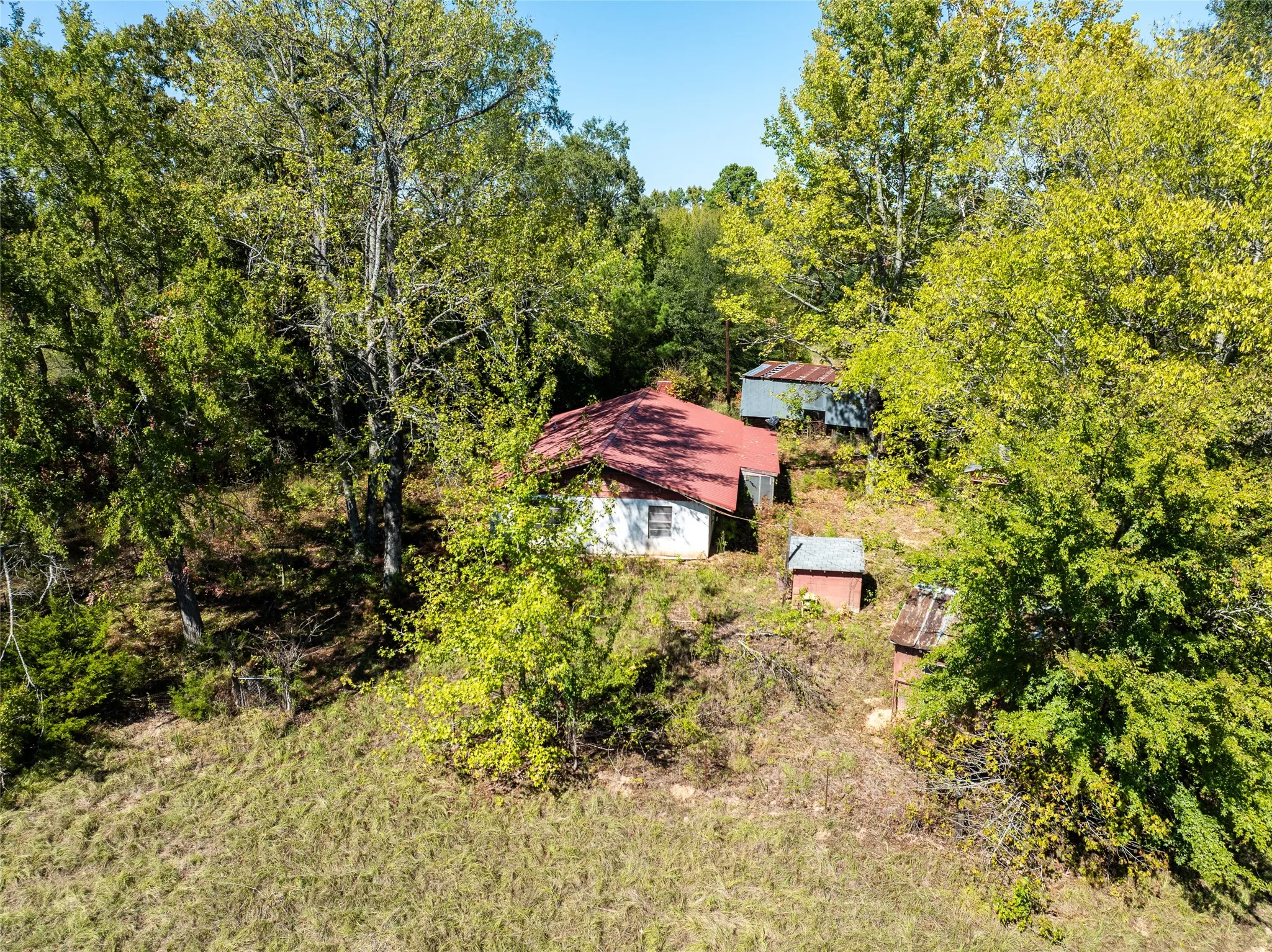 Ranch For Sale in Red River (TX) County , 2937 County Road 2356, Detroit, Texas 75436, 0, 0, Garage spaces, 0 Sqft, built in 0, mls#21407244, Real Estate Agent in Detroit, Homes For Sale in Red River (TX) county, Homes For Sale in Detroit, Realtor in Detroit Texas, Real Estate Brokerage Independent Realty Texas, Luminita Cordes Realtor