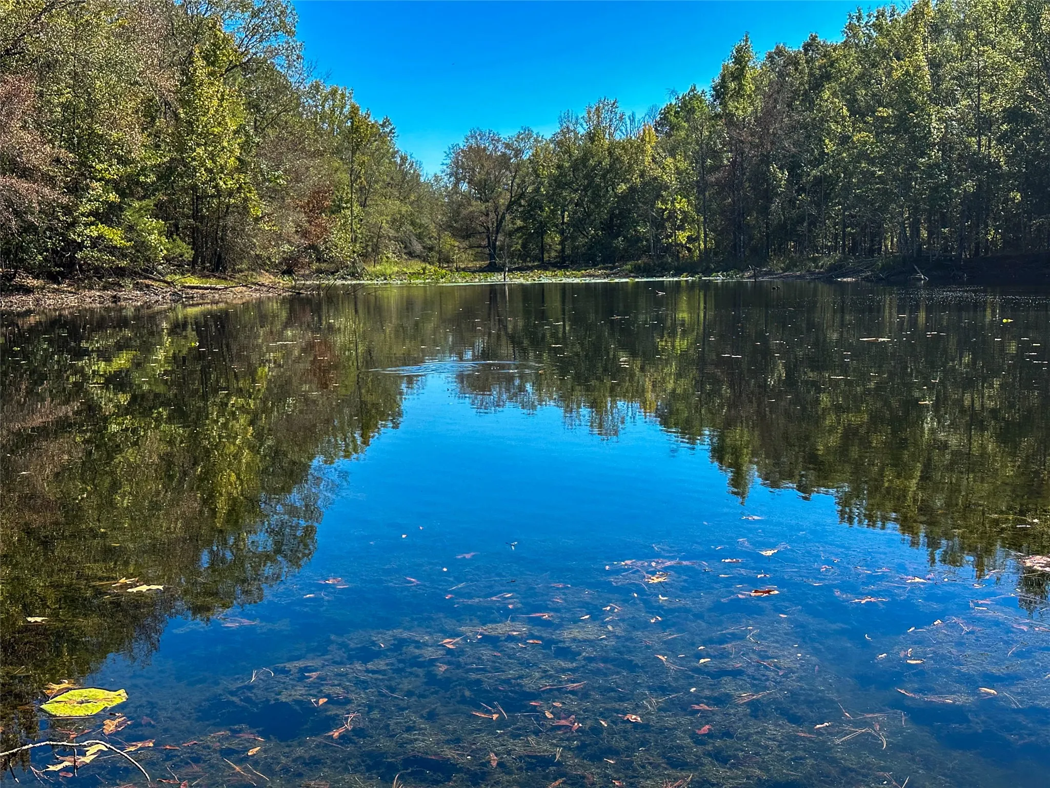 Ranch For Sale in Red River (TX) County , 2937 County Road 2356, Detroit, Texas 75436, 0, 0, Garage spaces, 0 Sqft, built in 0, mls#21407244, Real Estate Agent in Detroit, Homes For Sale in Red River (TX) county, Homes For Sale in Detroit, Realtor in Detroit Texas, Real Estate Brokerage Independent Realty Texas, Luminita Cordes Realtor