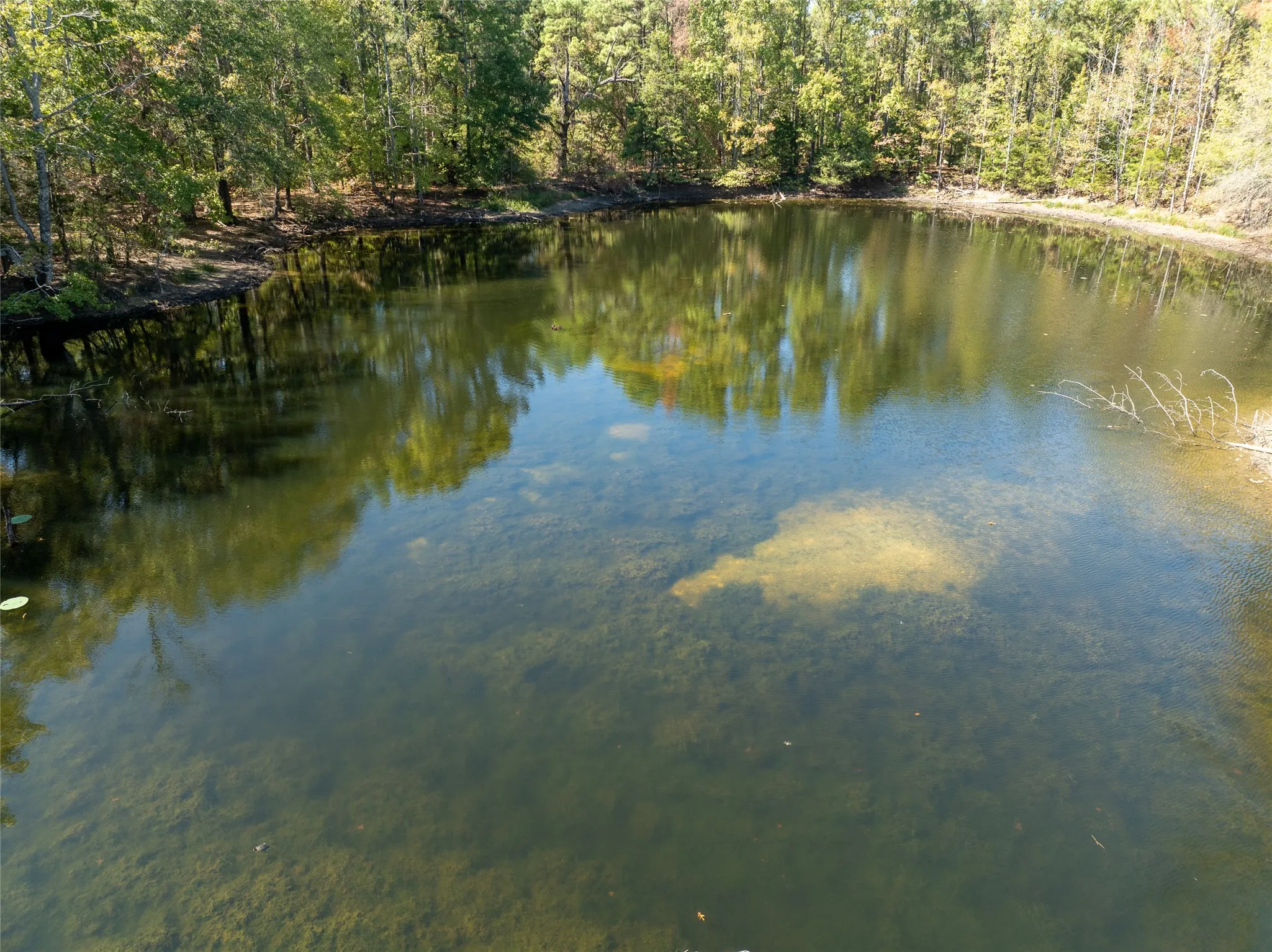 Ranch For Sale in Red River (TX) County , 2937 County Road 2356, Detroit, Texas 75436, 0, 0, Garage spaces, 0 Sqft, built in 0, mls#21407244, Real Estate Agent in Detroit, Homes For Sale in Red River (TX) county, Homes For Sale in Detroit, Realtor in Detroit Texas, Real Estate Brokerage Independent Realty Texas, Luminita Cordes Realtor