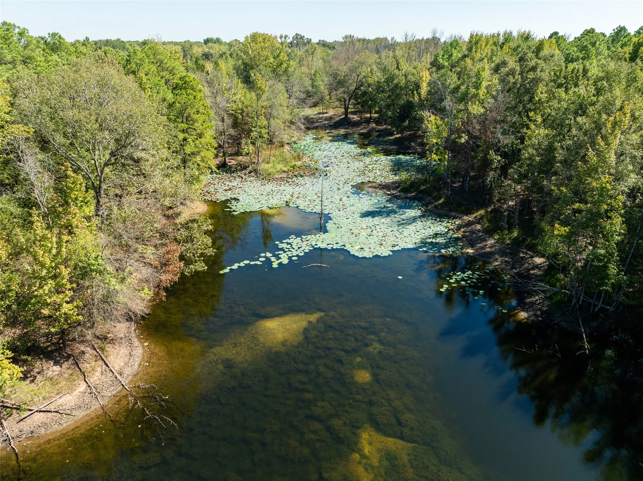 Ranch For Sale in Red River (TX) County , 2937 County Road 2356, Detroit, Texas 75436, 0, 0, Garage spaces, 0 Sqft, built in 0, mls#21407244, Real Estate Agent in Detroit, Homes For Sale in Red River (TX) county, Homes For Sale in Detroit, Realtor in Detroit Texas, Real Estate Brokerage Independent Realty Texas, Luminita Cordes Realtor