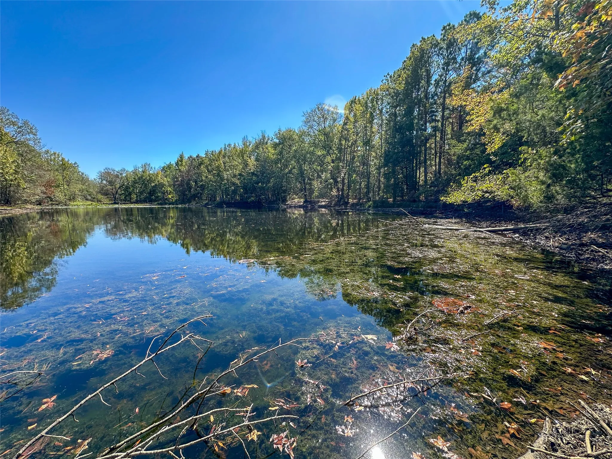 Ranch For Sale in Red River (TX) County , 2937 County Road 2356, Detroit, Texas 75436, 0, 0, Garage spaces, 0 Sqft, built in 0, mls#21407244, Real Estate Agent in Detroit, Homes For Sale in Red River (TX) county, Homes For Sale in Detroit, Realtor in Detroit Texas, Real Estate Brokerage Independent Realty Texas, Luminita Cordes Realtor