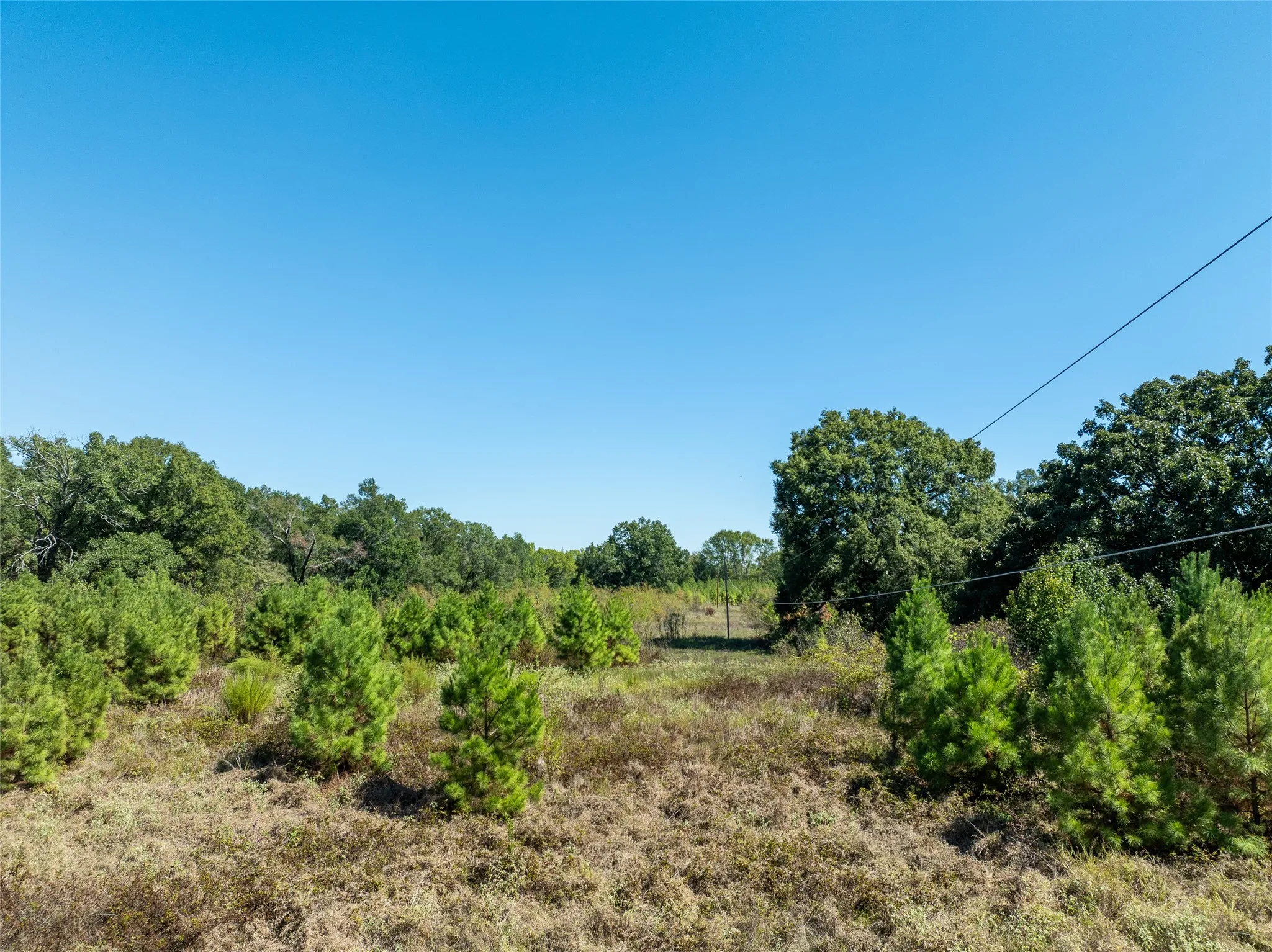 Ranch For Sale in Red River (TX) County , 2937 County Road 2356, Detroit, Texas 75436, 0, 0, Garage spaces, 0 Sqft, built in 0, mls#21407244, Real Estate Agent in Detroit, Homes For Sale in Red River (TX) county, Homes For Sale in Detroit, Realtor in Detroit Texas, Real Estate Brokerage Independent Realty Texas, Luminita Cordes Realtor