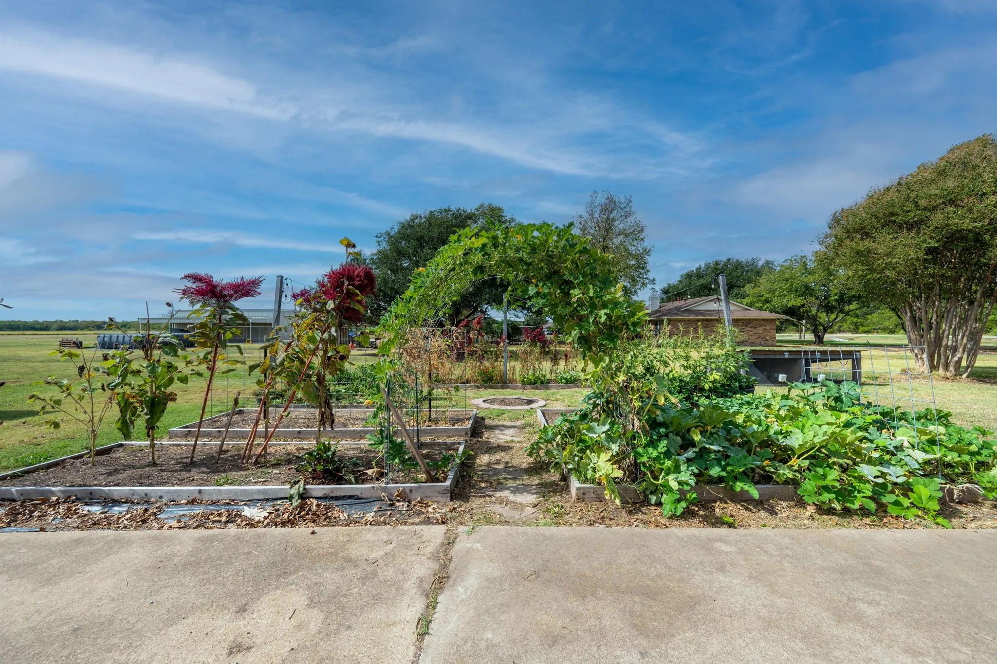 Business For Sale in Collin County , 815 W Cook Street, Josephine, Texas 75173, 0, 0, Garage spaces, 1,776 Sqft, built in 1986, mls#21406583, Real Estate Agent in Josephine, Homes For Sale in Collin county, Homes For Sale in Josephine, Realtor in Josephine Texas, Real Estate Brokerage Independent Realty Texas, Luminita Cordes Realtor