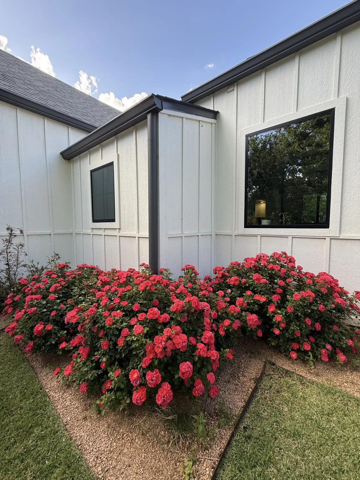 Single Family Residence For Sale in Young County , 111 Fawn Trail Circle, Graham, Texas 76450, 4 Bedroom, 4 Bathroom, 4 Garage spaces, 3,395 Sqft, built in 2020, mls#21394977, Real Estate Agent in Graham, Homes For Sale in Young county, Homes For Sale in Graham, Realtor in Graham Texas, Real Estate Brokerage Independent Realty Texas, Luminita Cordes Realtor