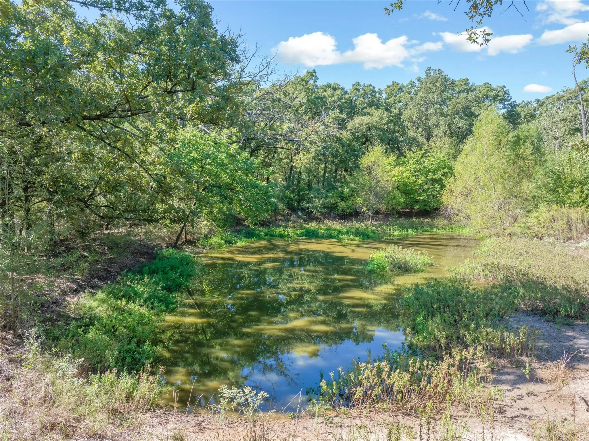 Farm For Sale in Van Zandt County , 753 Vz County Road 3617, Edgewood, Texas 75117, 3 Bedroom, 3 Bathroom, 2 Garage spaces, 2,478 Sqft, built in 1980, mls#21405864, Real Estate Agent in Edgewood, Homes For Sale in Van Zandt county, Homes For Sale in Edgewood, Realtor in Edgewood Texas, Real Estate Brokerage Independent Realty Texas, Luminita Cordes Realtor