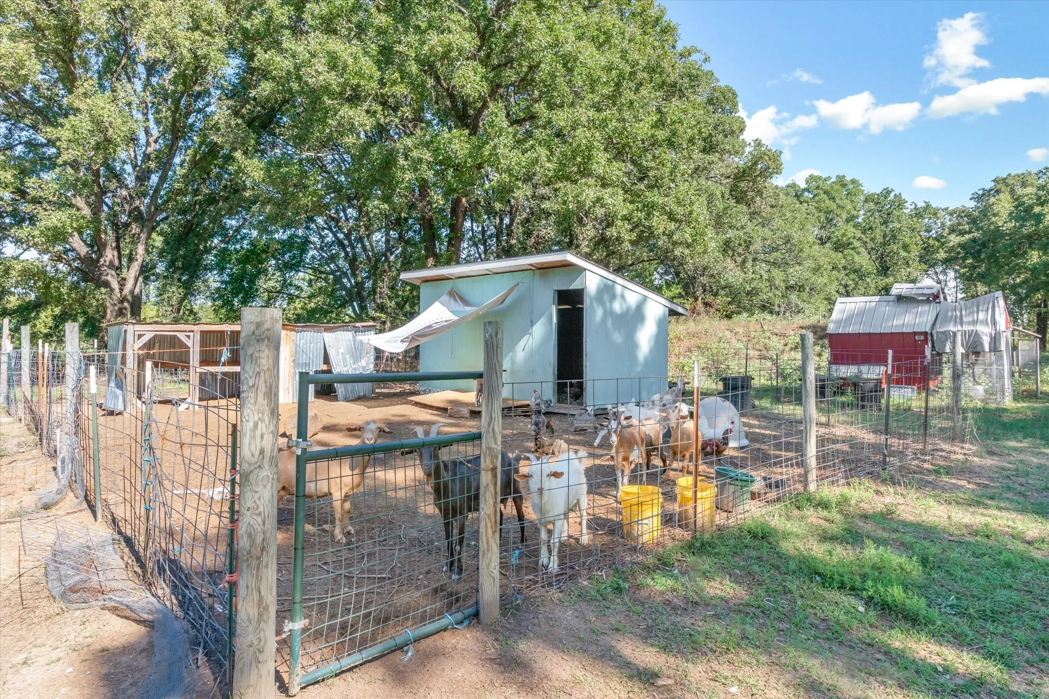 Farm For Sale in Van Zandt County , 753 Vz County Road 3617, Edgewood, Texas 75117, 3 Bedroom, 3 Bathroom, 2 Garage spaces, 2,478 Sqft, built in 1980, mls#21405864, Real Estate Agent in Edgewood, Homes For Sale in Van Zandt county, Homes For Sale in Edgewood, Realtor in Edgewood Texas, Real Estate Brokerage Independent Realty Texas, Luminita Cordes Realtor