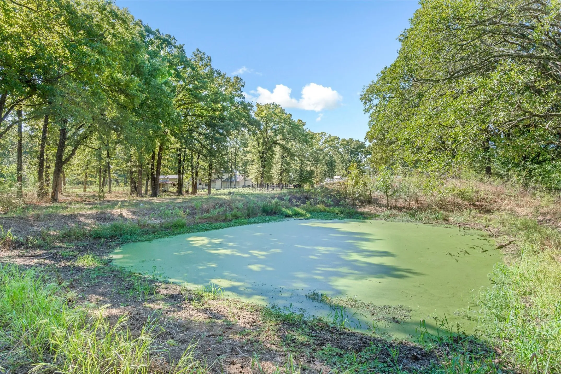 Farm For Sale in Van Zandt County , 753 Vz County Road 3617, Edgewood, Texas 75117, 3 Bedroom, 3 Bathroom, 2 Garage spaces, 2,478 Sqft, built in 1980, mls#21405864, Real Estate Agent in Edgewood, Homes For Sale in Van Zandt county, Homes For Sale in Edgewood, Realtor in Edgewood Texas, Real Estate Brokerage Independent Realty Texas, Luminita Cordes Realtor