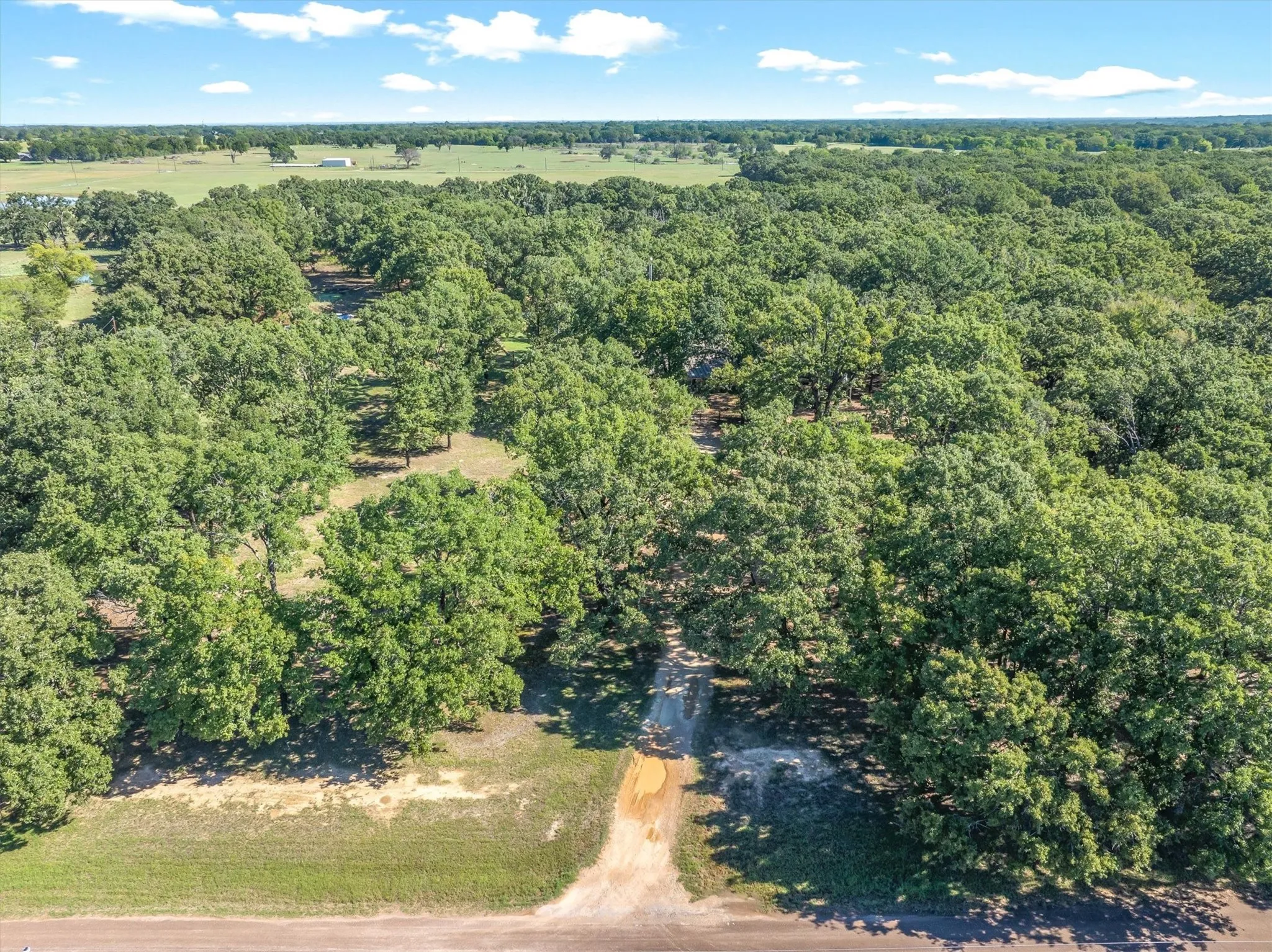 Tree covered acreage - Lots of privacy