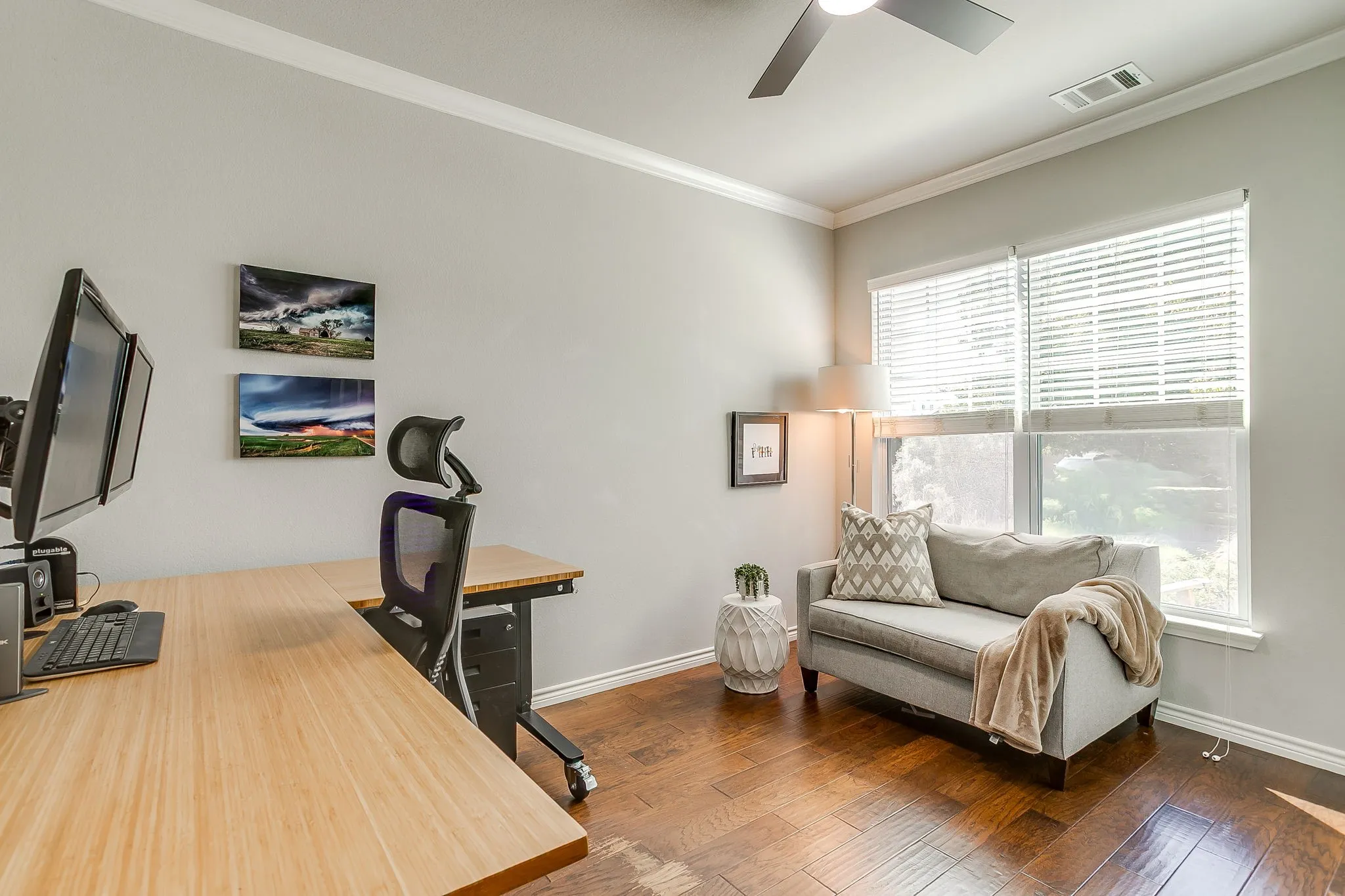 Bedroom/Office